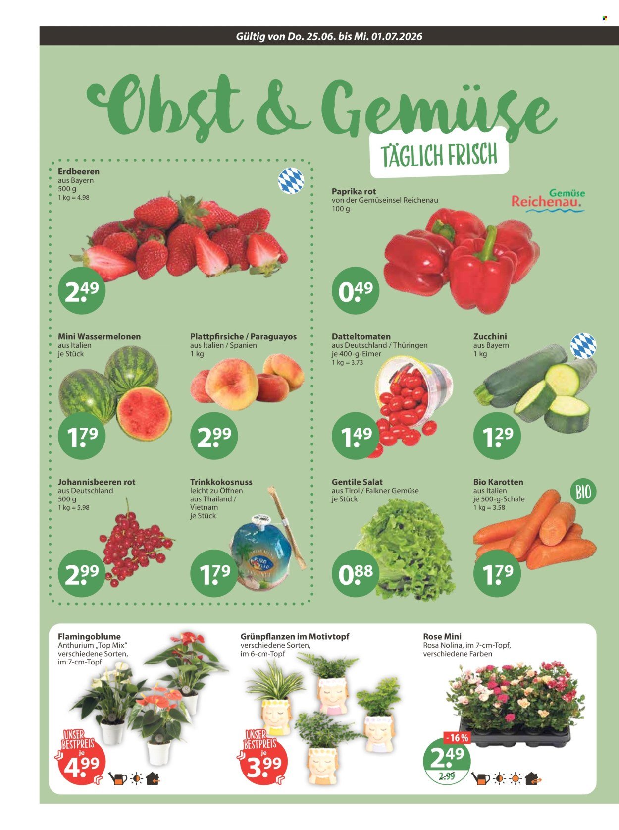V-MARKT Prospekt - Ab Donnerstag 25.06.2026