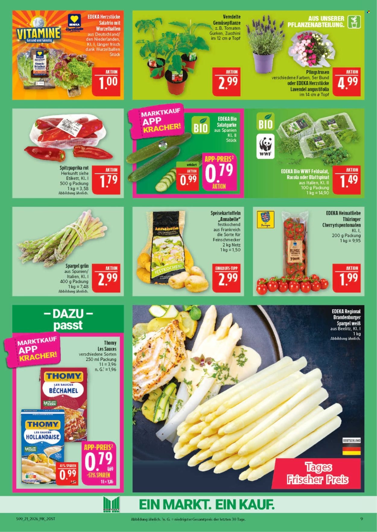 MARKTKAUF Prospekt - Ab Montag 18.05.2026 (2026-05-18 - 2026-05-23)