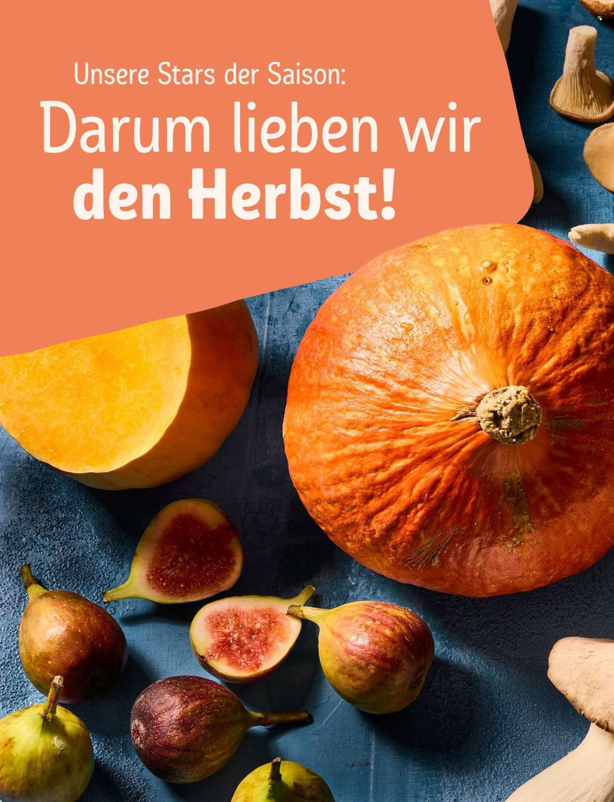 REWE Angebote - Deine Küche Magazin