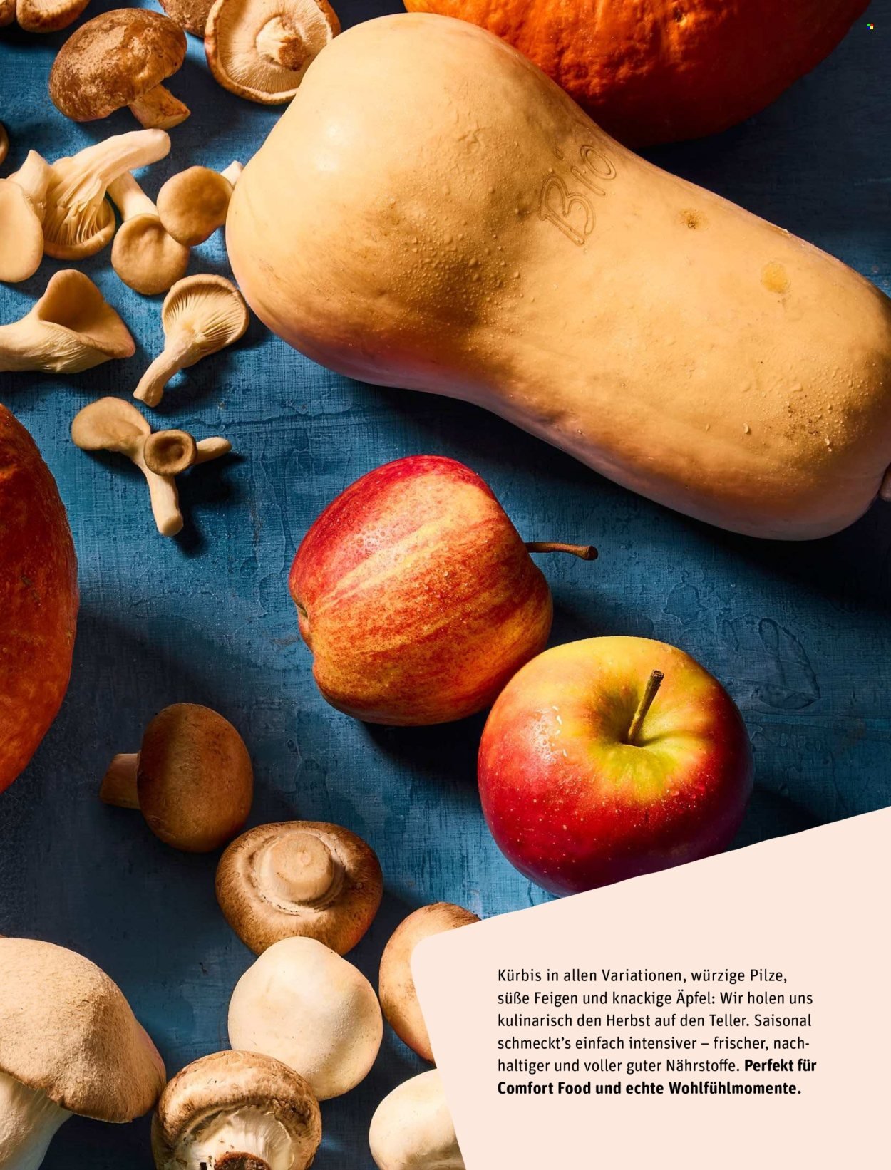 REWE Angebote - Deine Küche Magazin