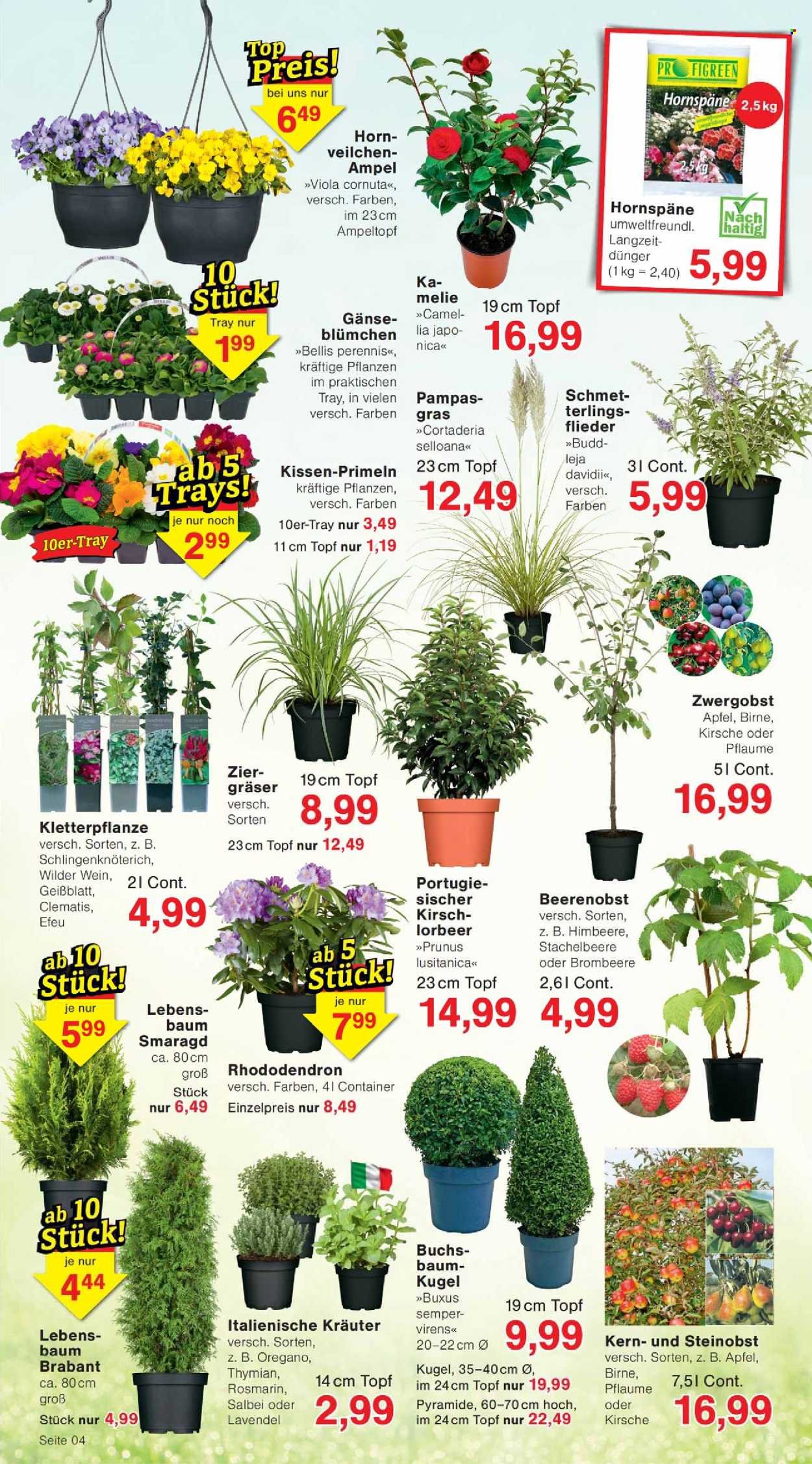 JAWOLL Prospekt - Ab Montag 9.03.2026