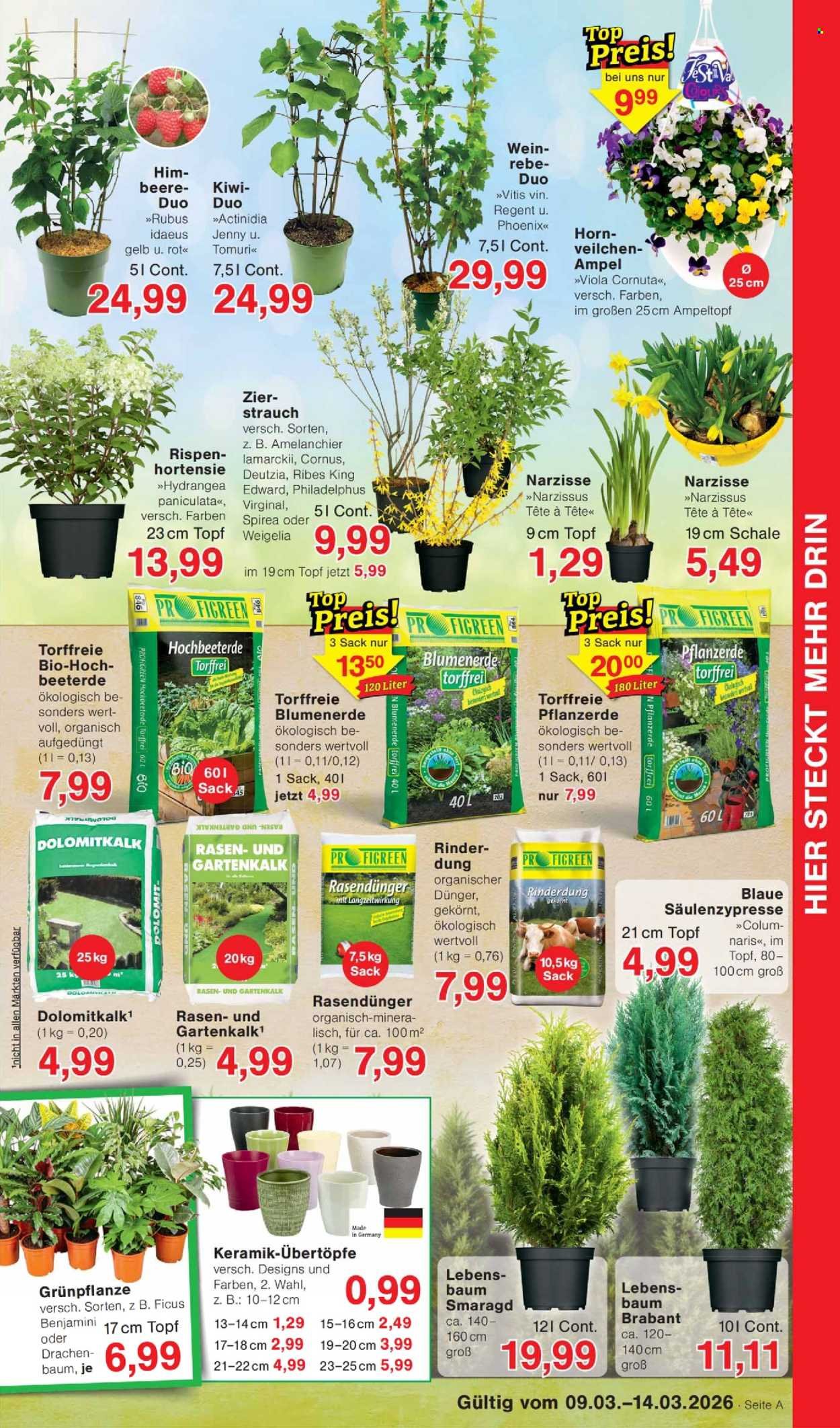 JAWOLL Prospekt - Ab Montag 9.03.2026