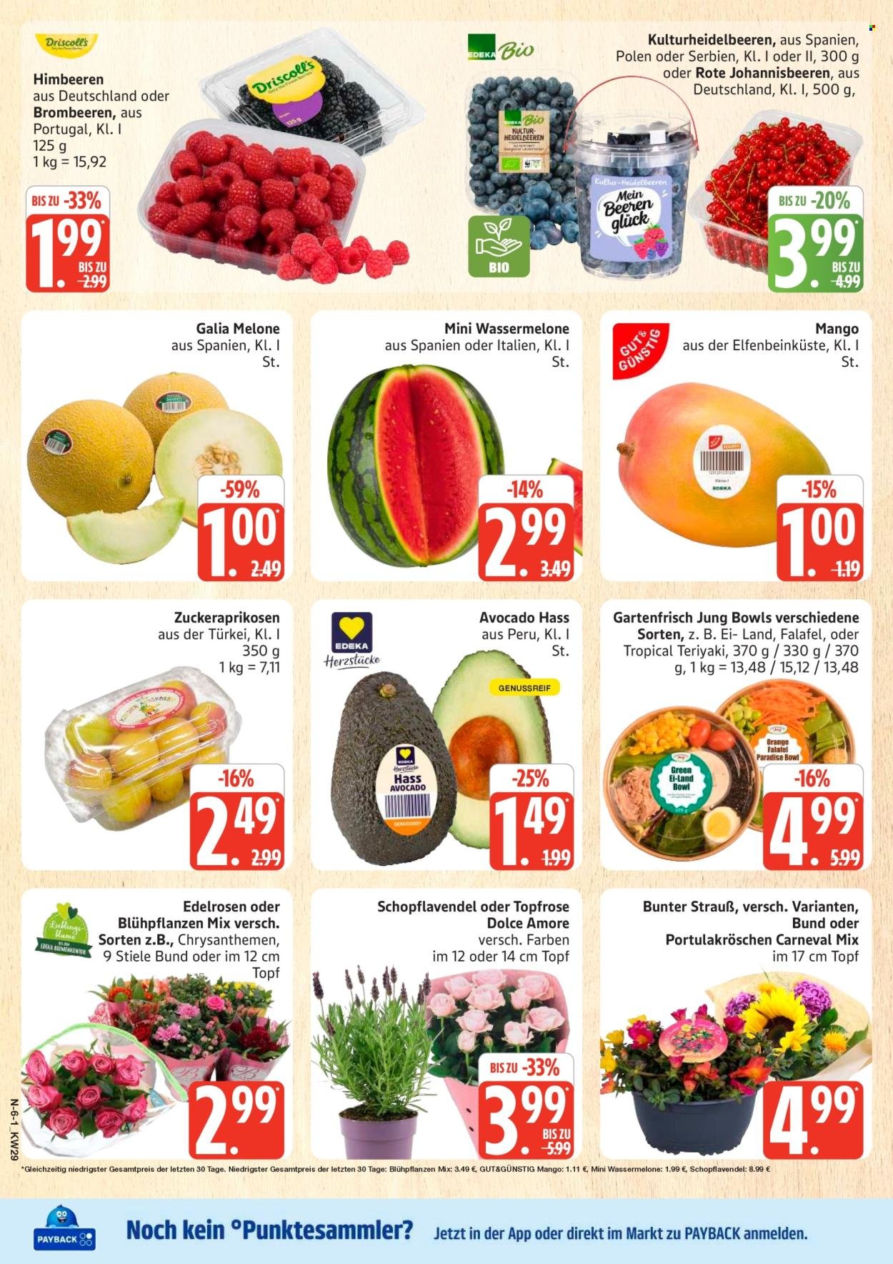 MARKTKAUF Prospekt - Ab Montag 13.07.2026