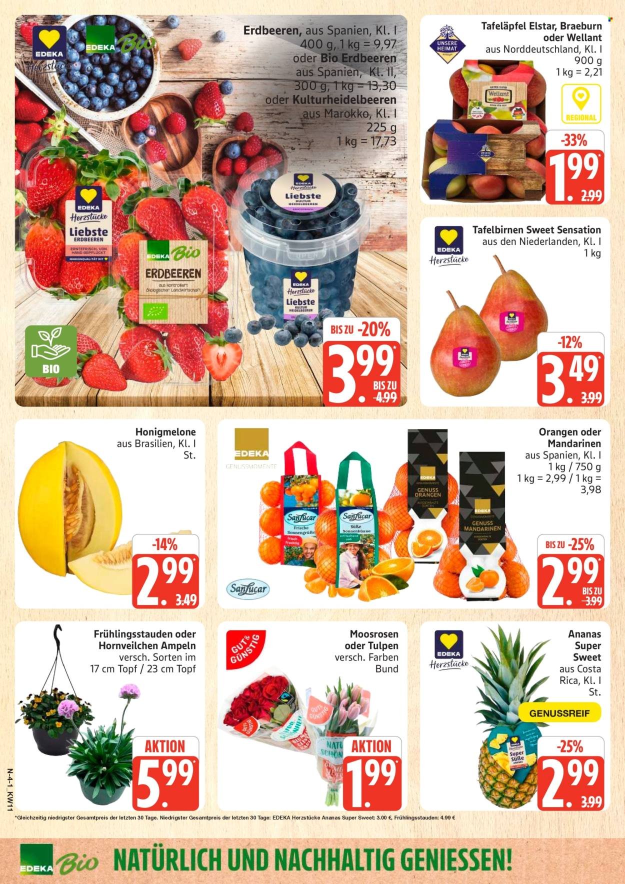 MARKTKAUF Prospekt - Ab Montag 9.03.2026