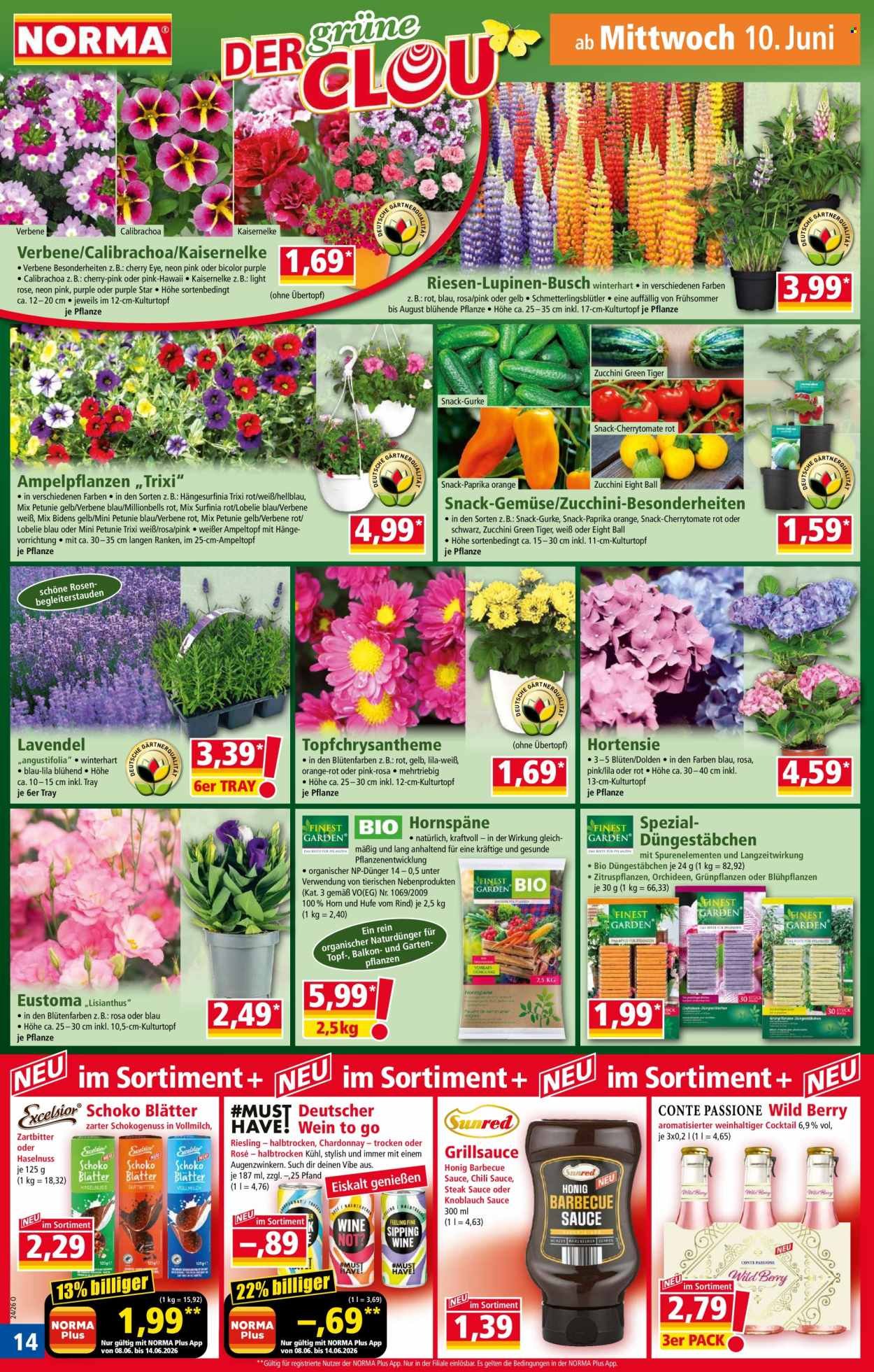 NORMA Prospekt - Ab Montag 8.06.2026