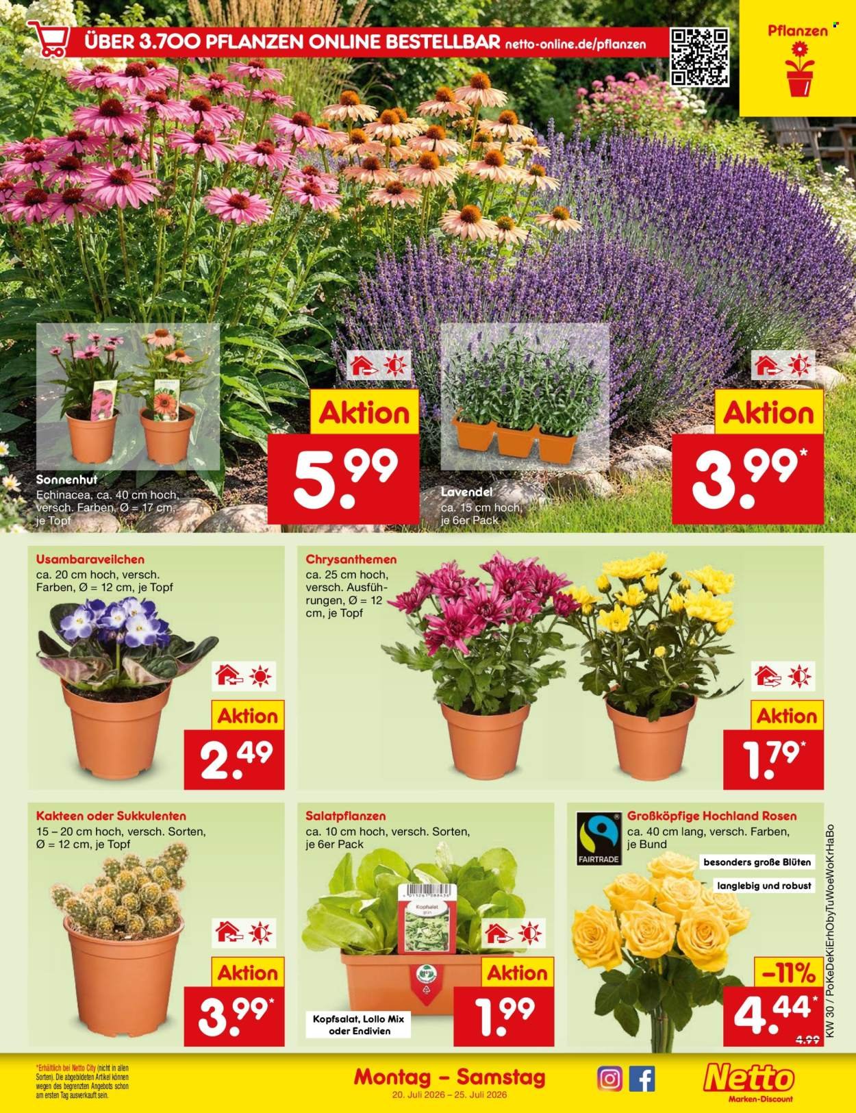 NETTO MARKEN-DISCOUNT Prospekt - Ab Montag 20.07.2026