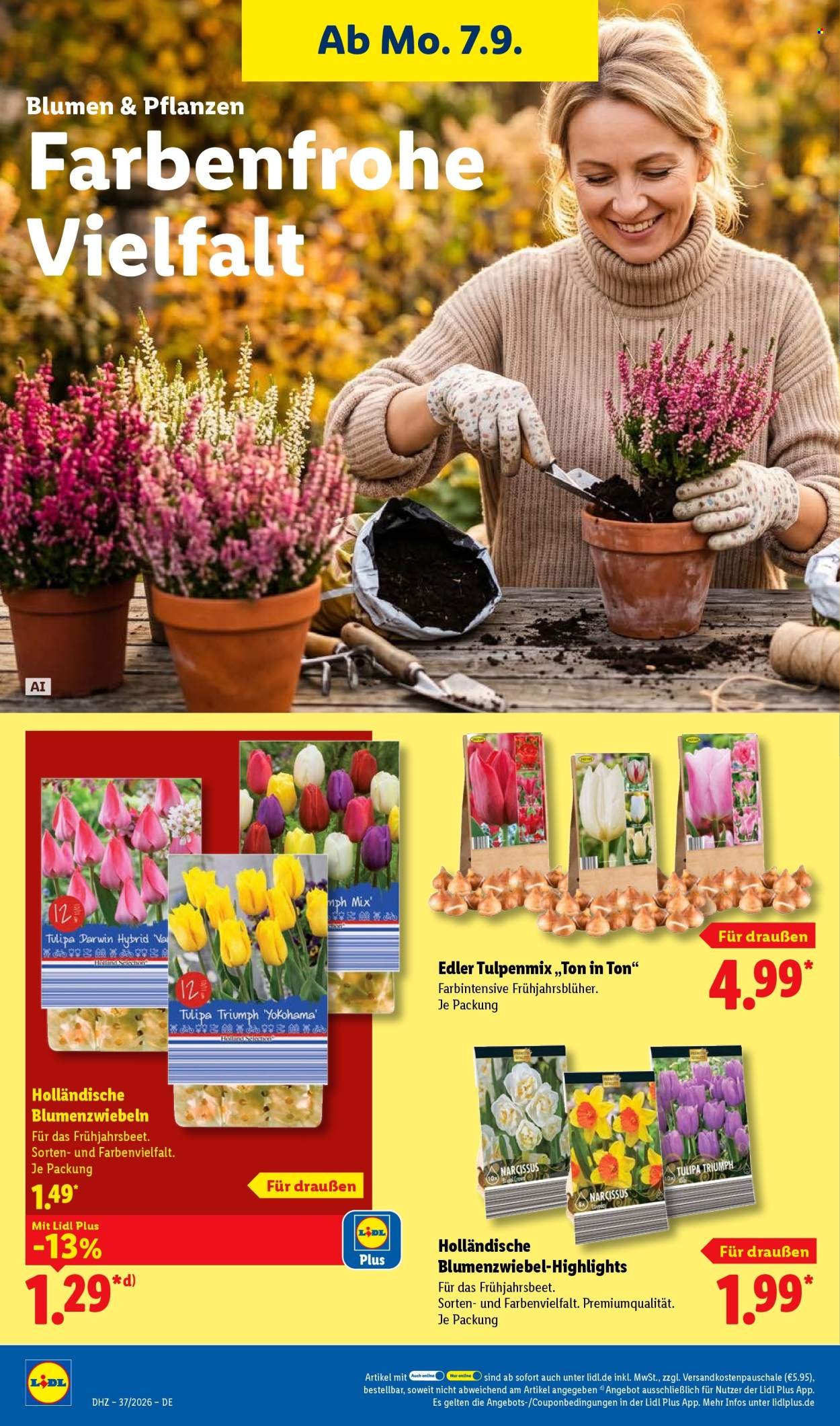 LIDL Prospekt - Ab Montag 7.09.2026