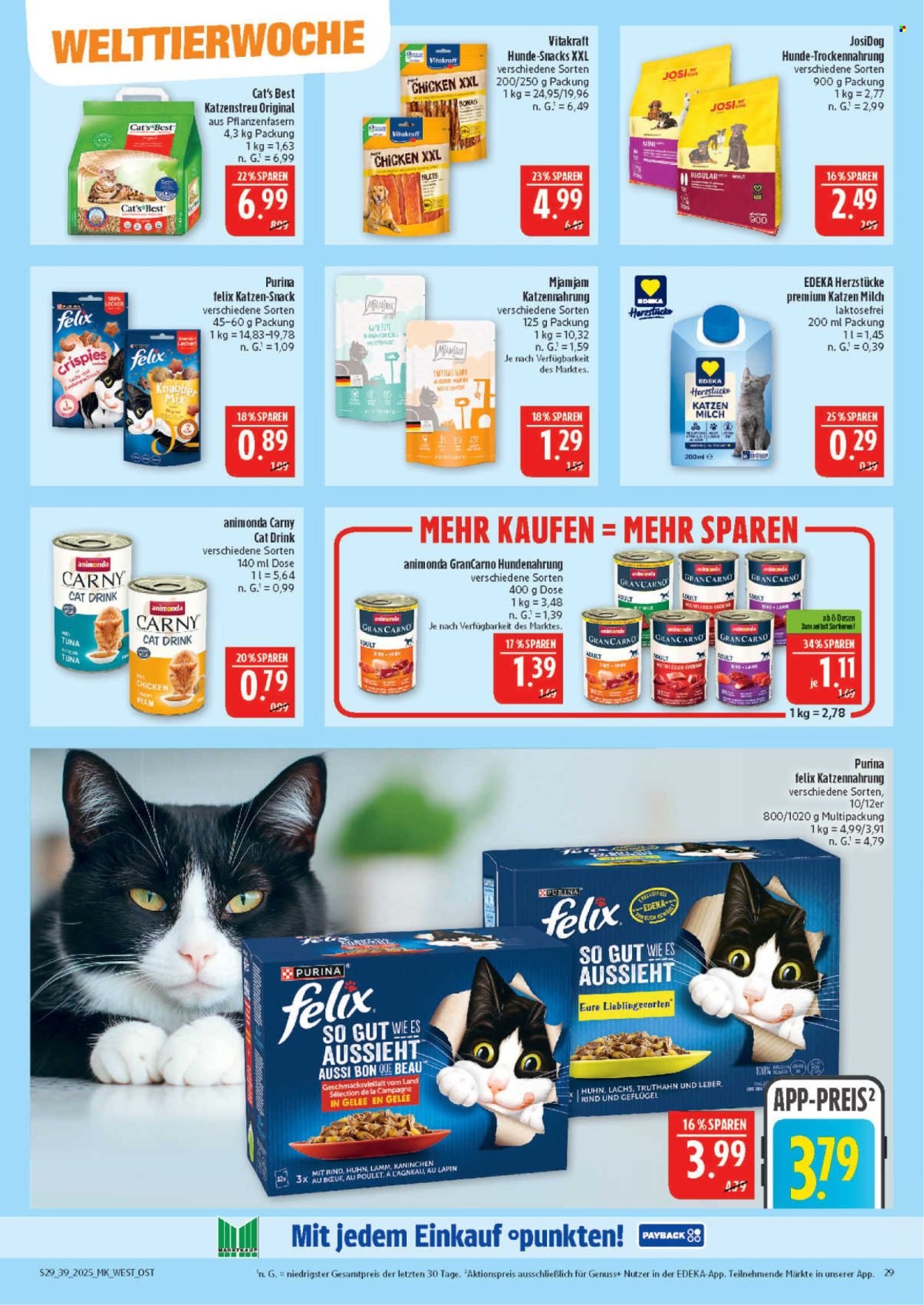 MARKTKAUF Prospekt - Ab Montag 22.09.2025 (2025-09-22 - 2025-09-27) | 29