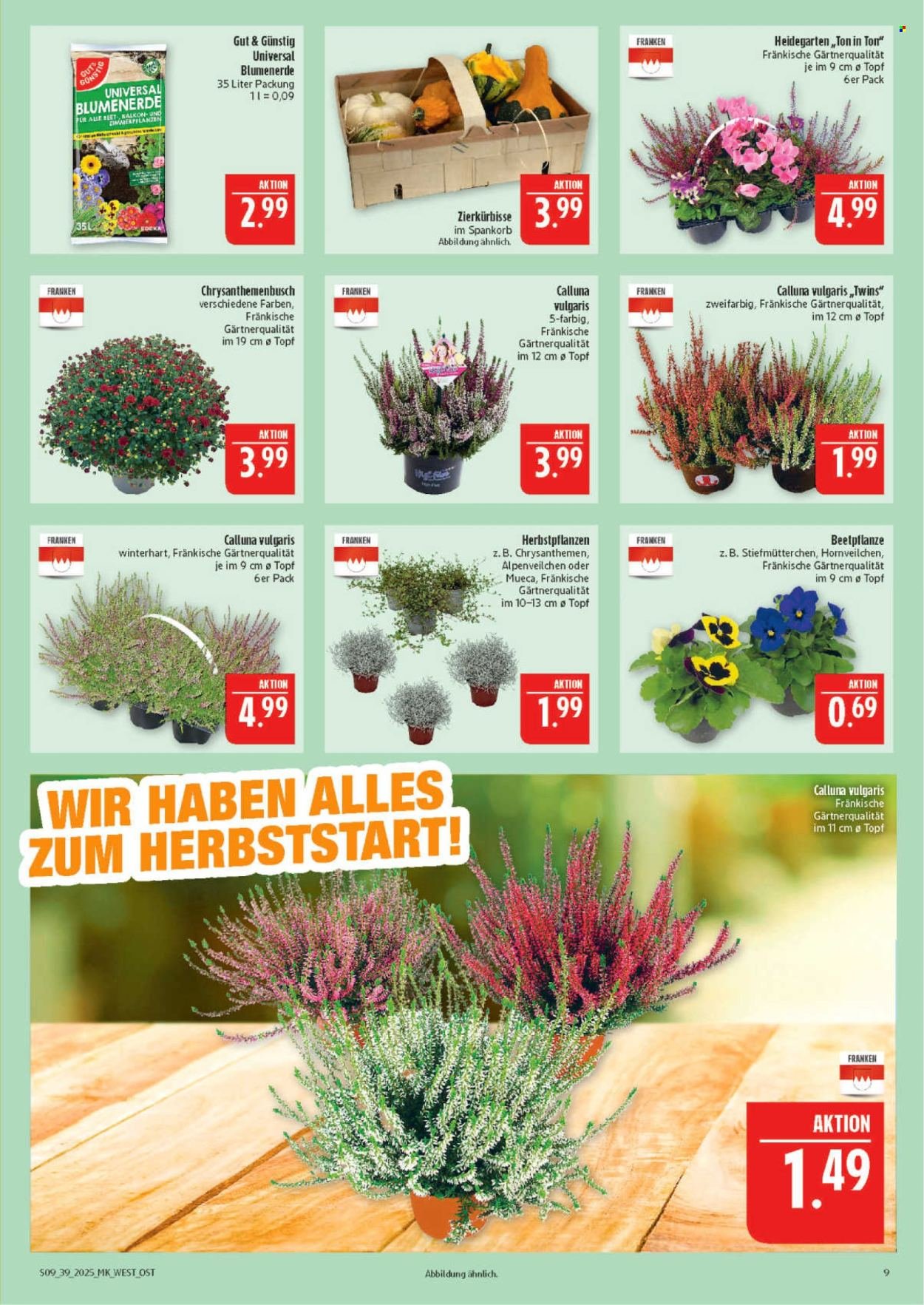 MARKTKAUF Prospekt - Ab Montag 22.09.2025 (2025-09-22 - 2025-09-27) | 9