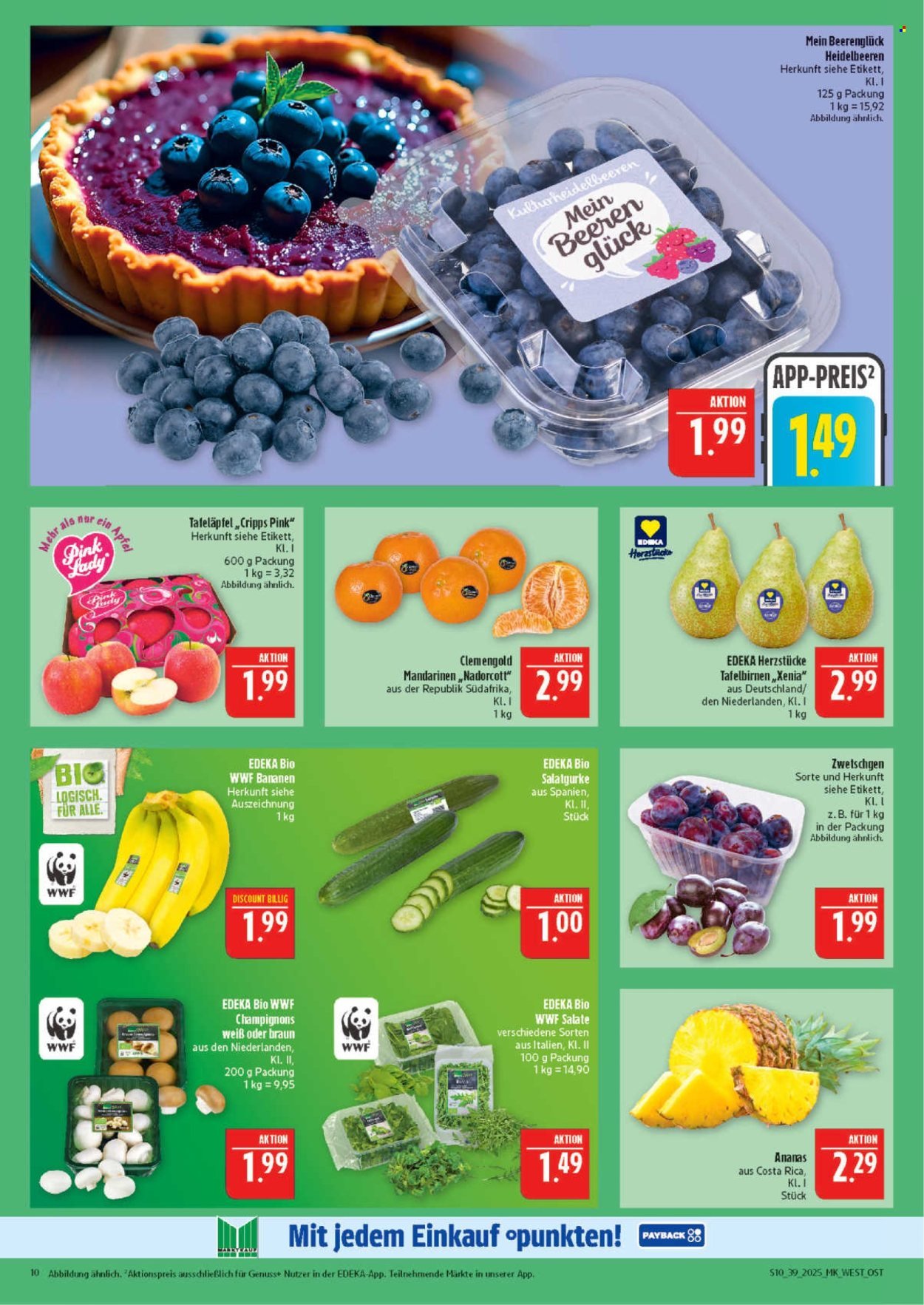 MARKTKAUF Prospekt - Ab Montag 22.09.2025 (2025-09-22 - 2025-09-27) | 10