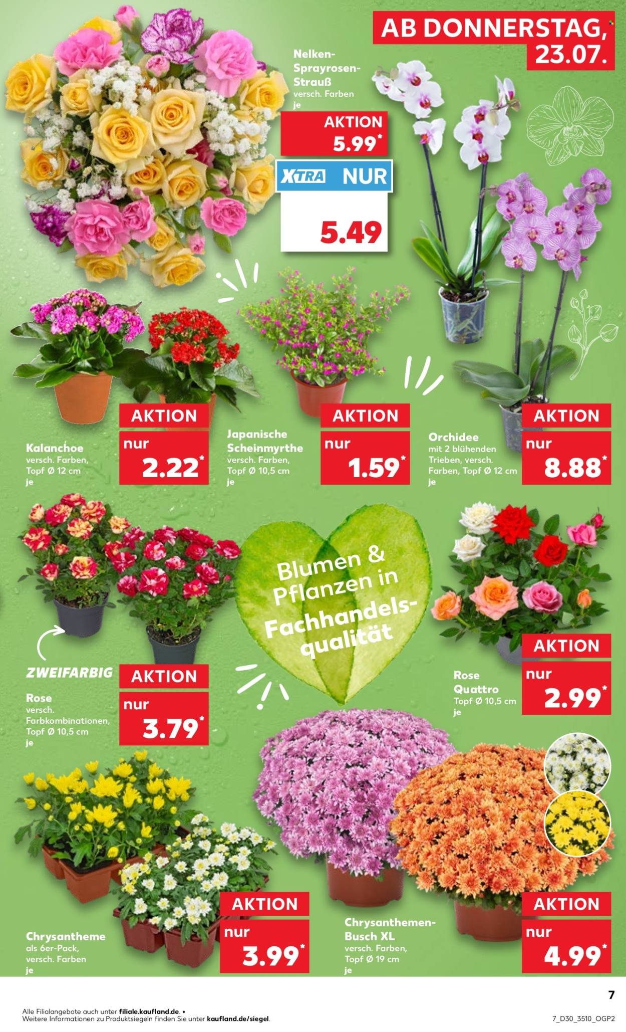 KAUFLAND Prospekt - Ab Donnerstag 23.07.2026