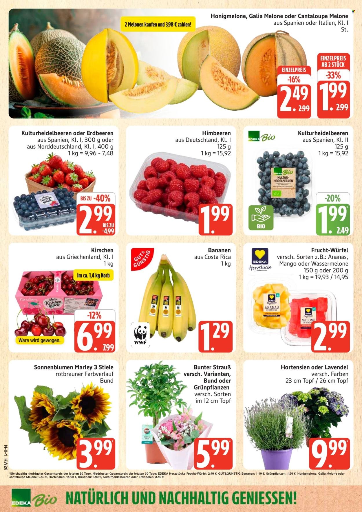 MARKTKAUF Prospekt - Ab Montag 22.06.2026