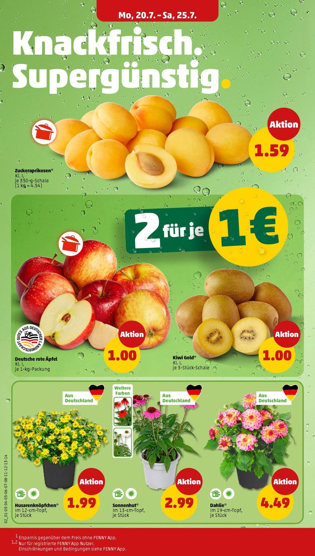 PENNY Prospekt - Ab Montag 20.07.2026
