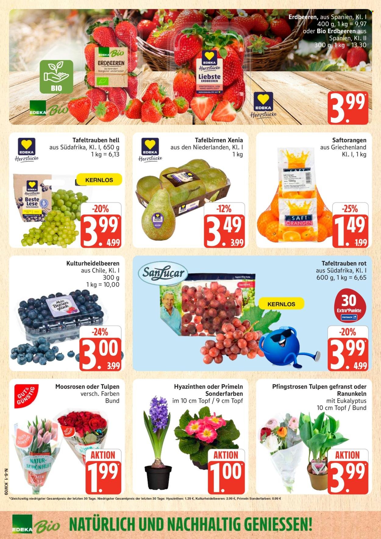 MARKTKAUF Prospekt - Ab Montag 23.02.2026