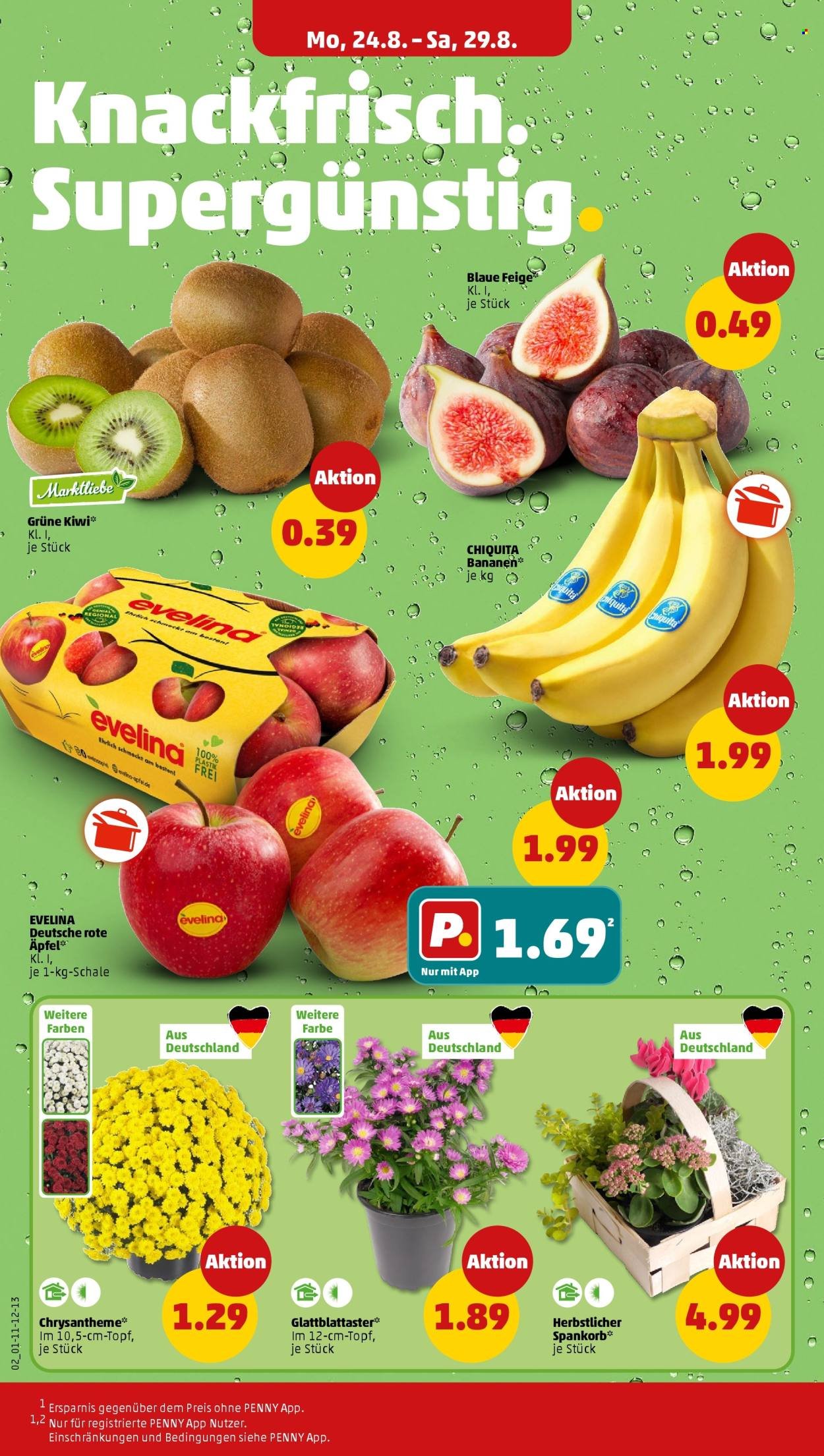 PENNY Prospekt - Ab Montag 24.08.2026