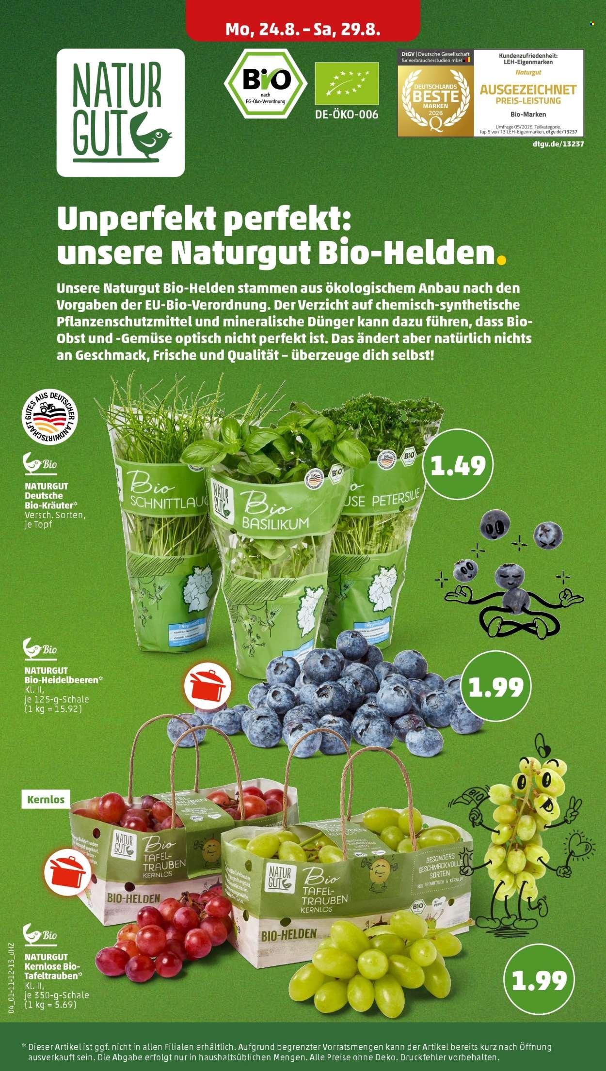 PENNY Prospekt - Ab Montag 24.08.2026