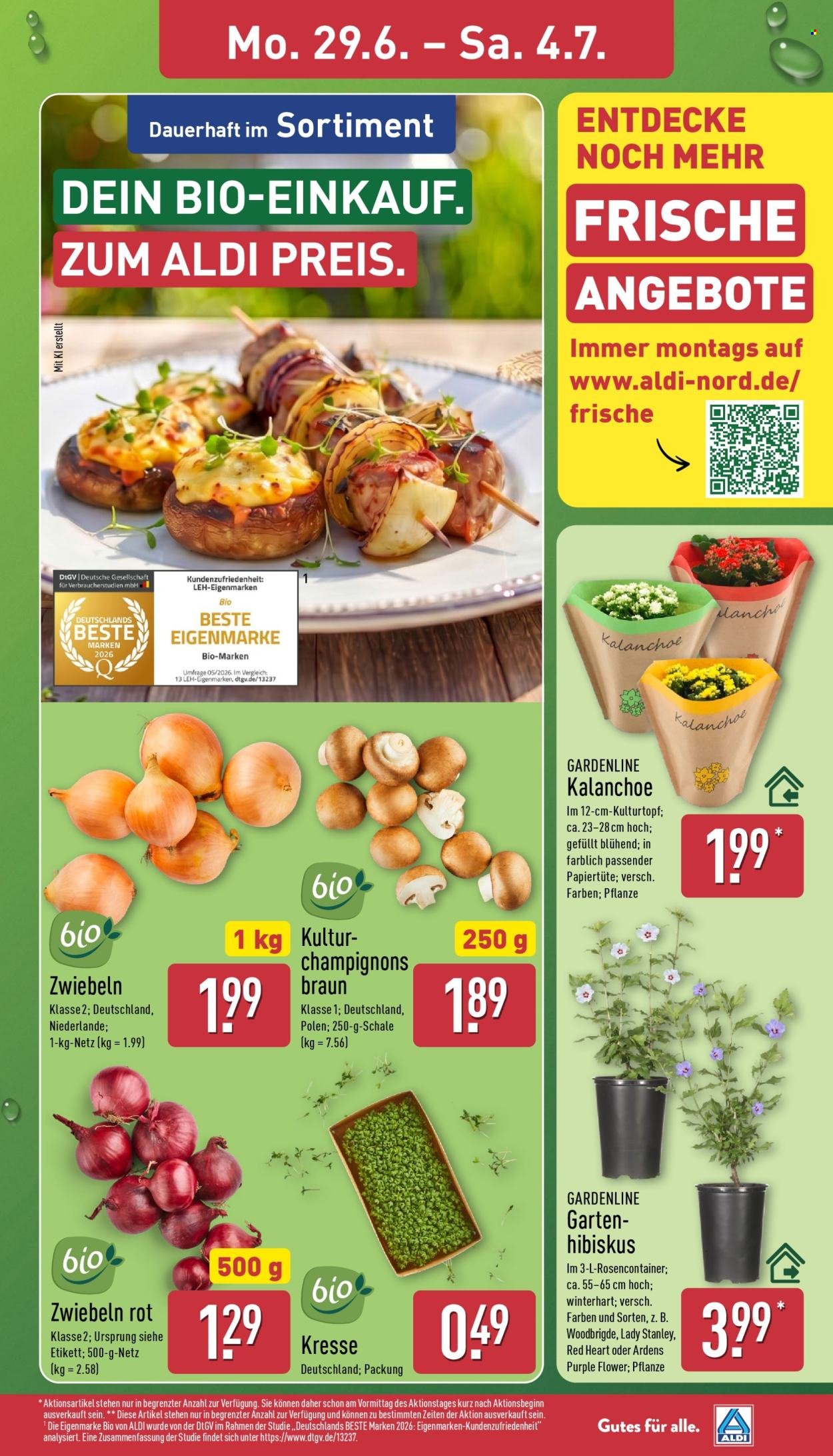 ALDI NORD Prospekt - Ab Montag 29.06.2026