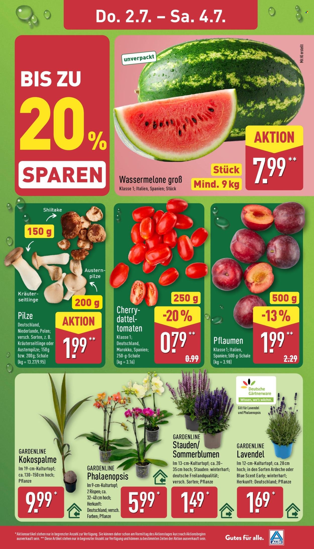 ALDI NORD Prospekt - Ab Montag 29.06.2026