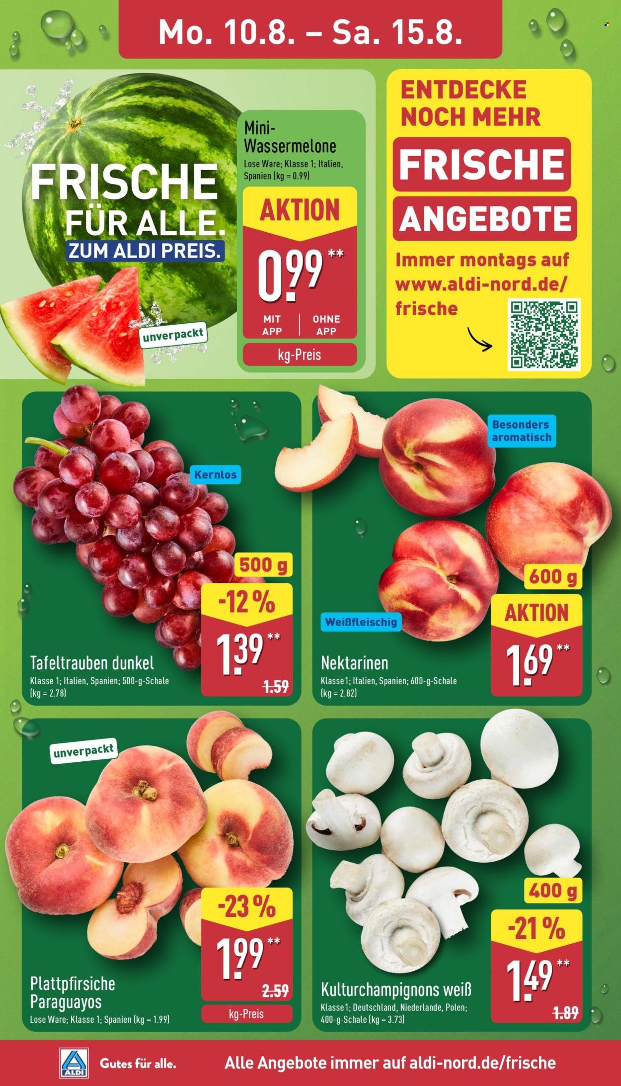 ALDI NORD Prospekt - Griechische Woche