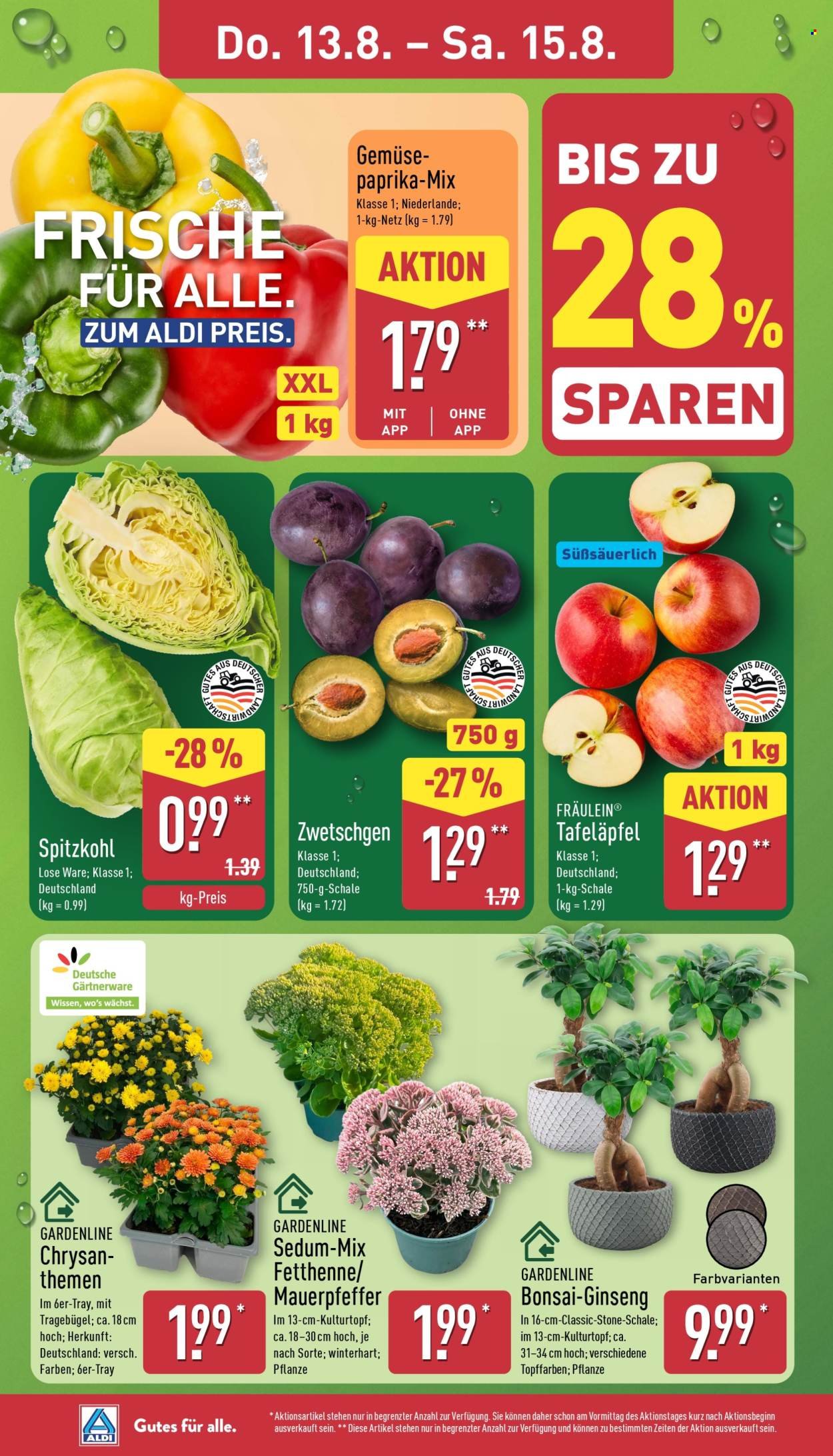 ALDI NORD Prospekt - Griechische Woche