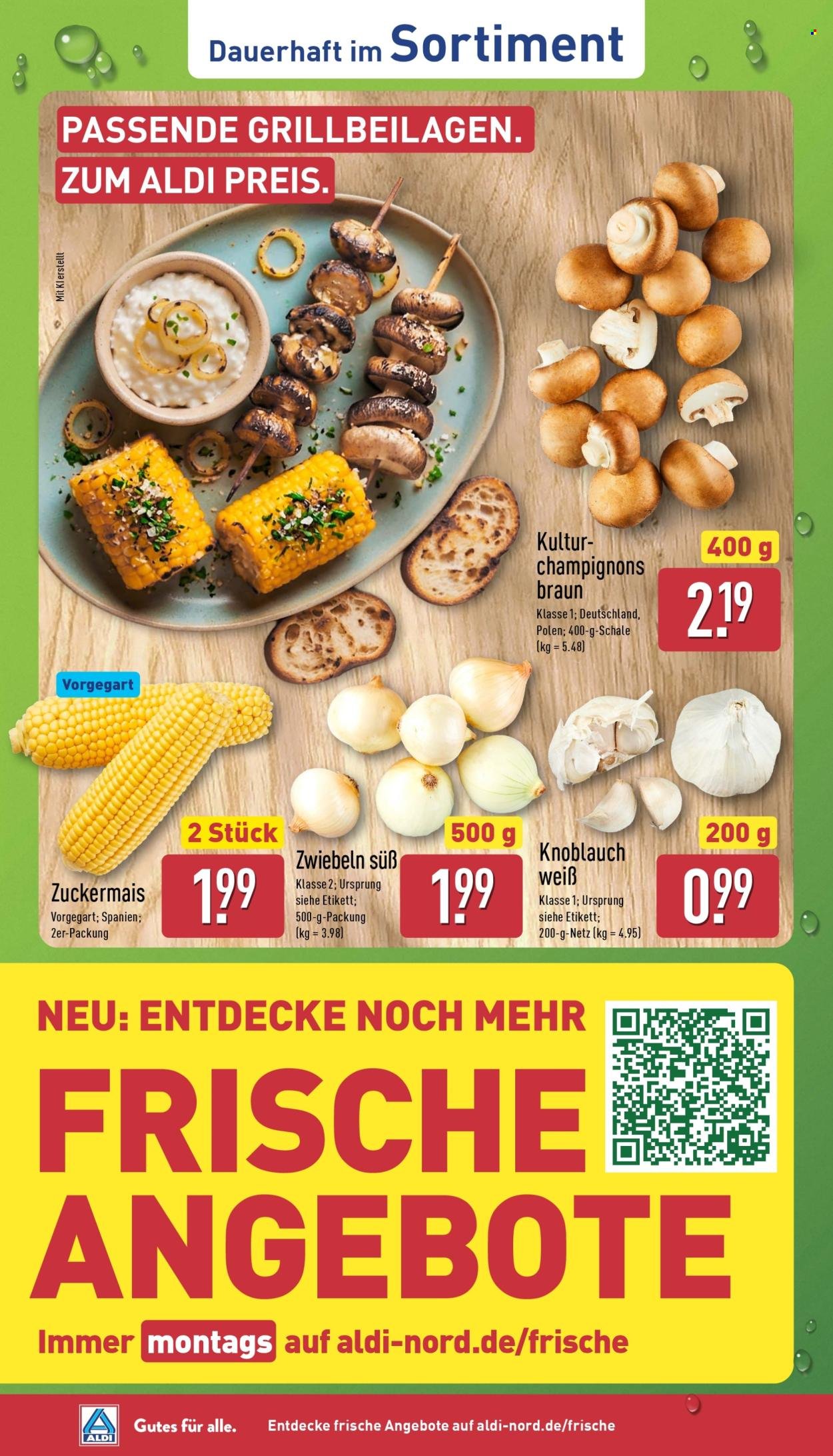 ALDI NORD Prospekt - Griechische Woche
