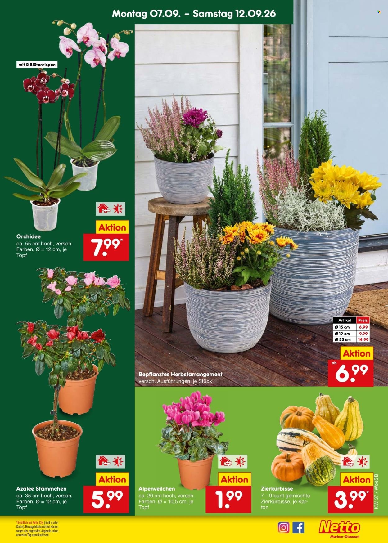 NETTO MARKEN-DISCOUNT Prospekt - Ab Montag 7.09.2026