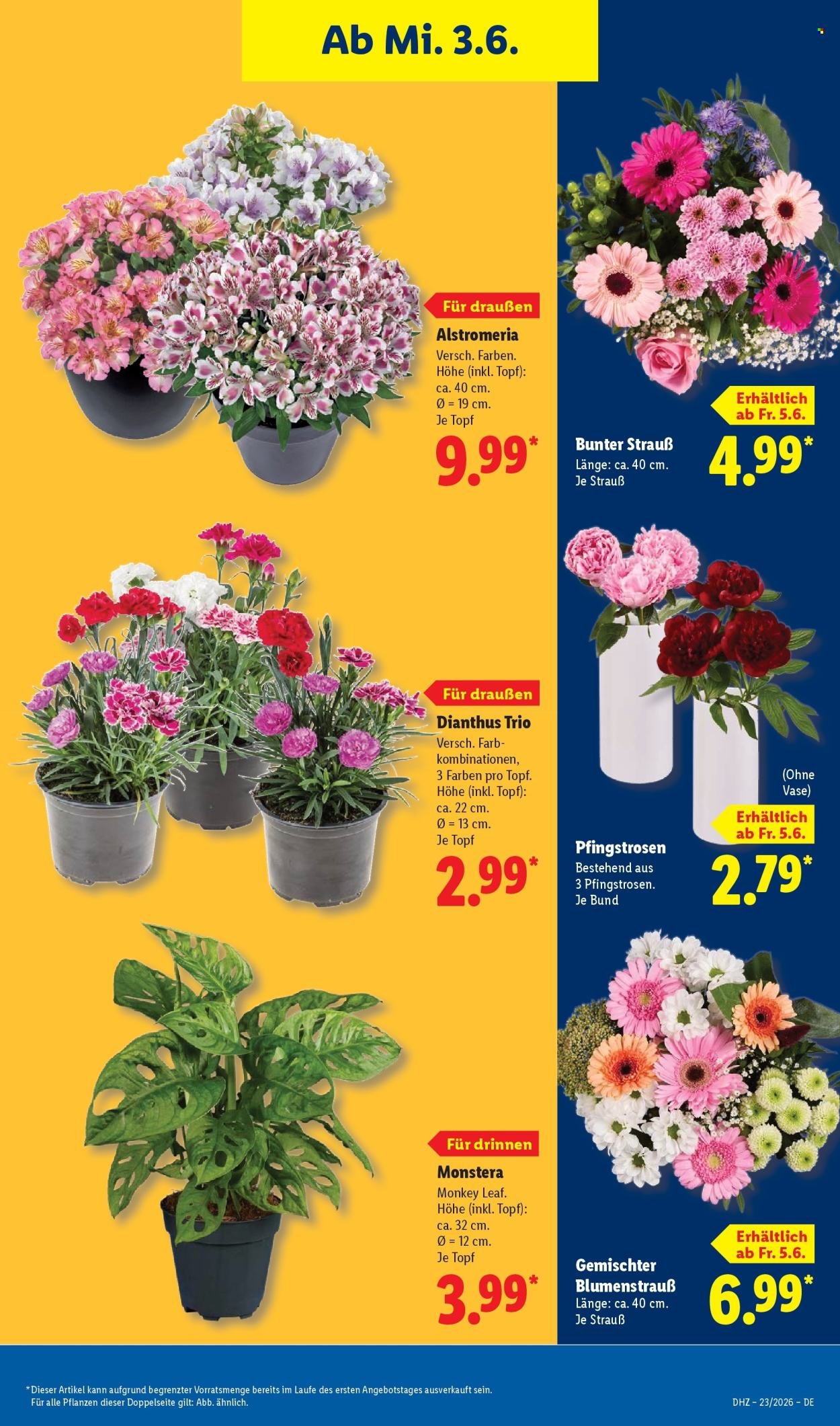 LIDL Prospekt - Ab Montag 1.06.2026