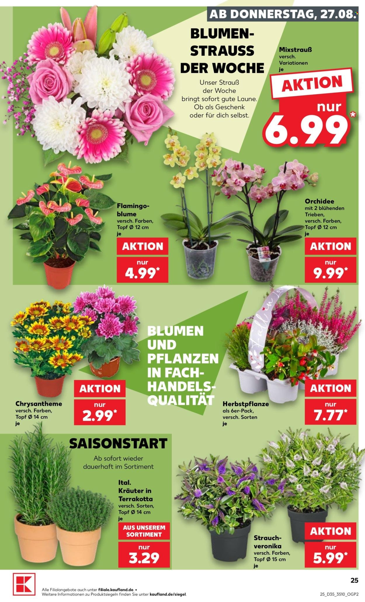 KAUFLAND Prospekt - Ab Donnerstag 27.08.2026
