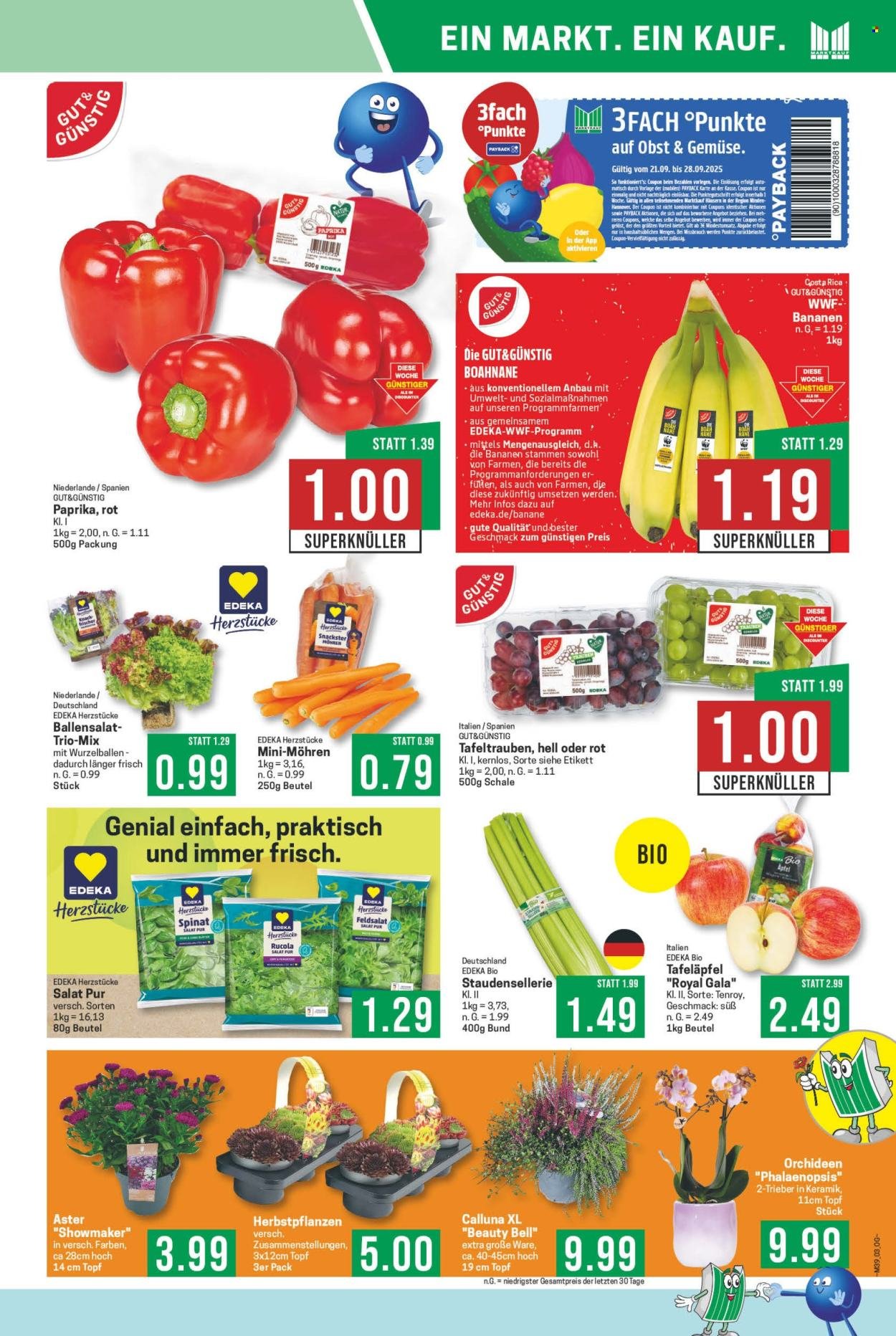 MARKTKAUF Prospekt - Ab Montag 22.09.2025 (2025-09-22 - 2025-09-27) | 3