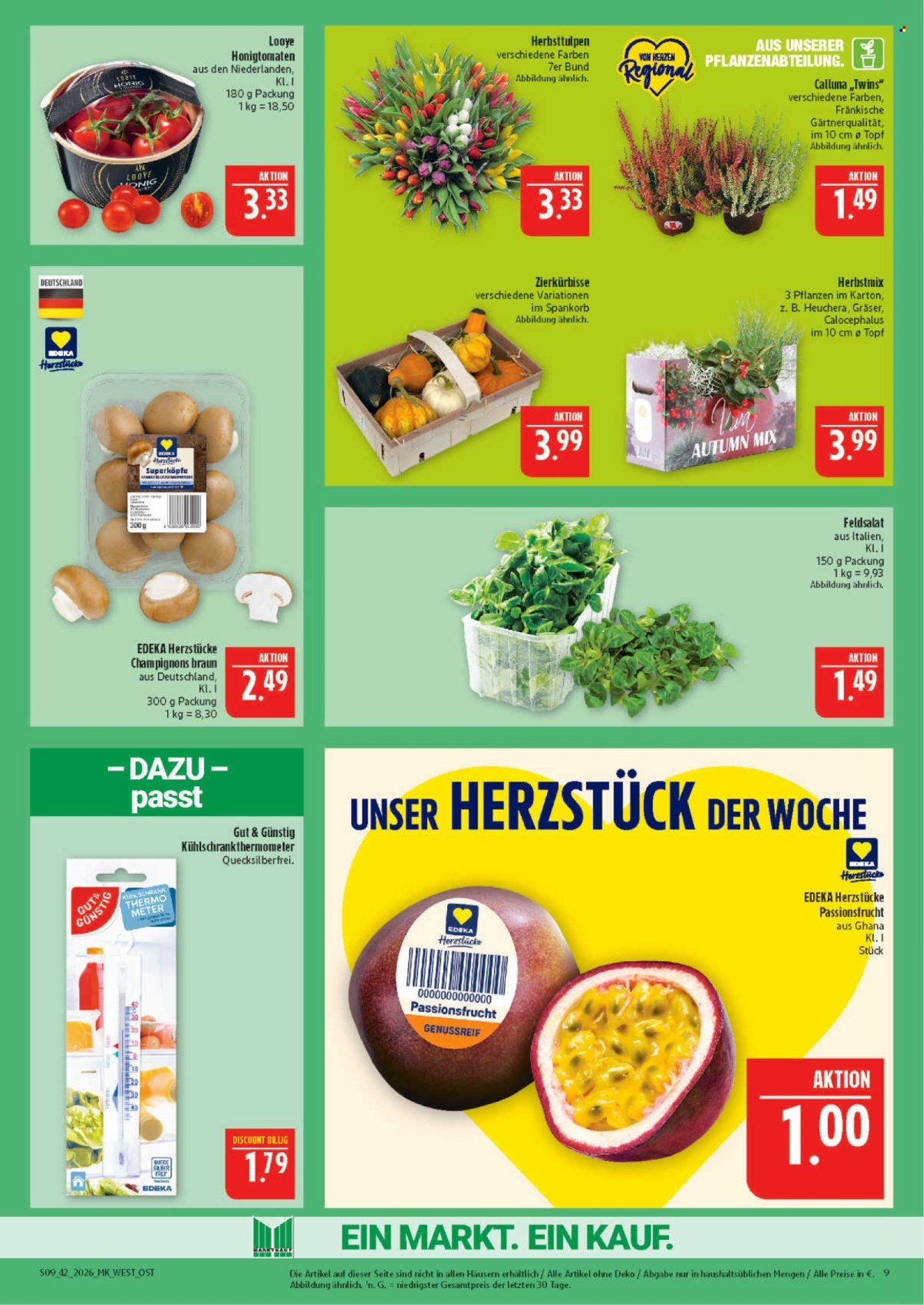 MARKTKAUF Prospekt - Ab Montag 12.10.2026