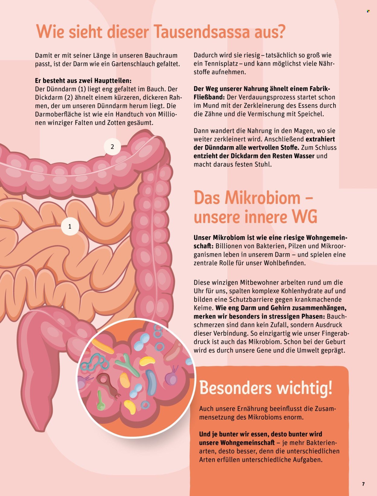 REWE Angebote - Deine Küche Magazin (2026-05-05)