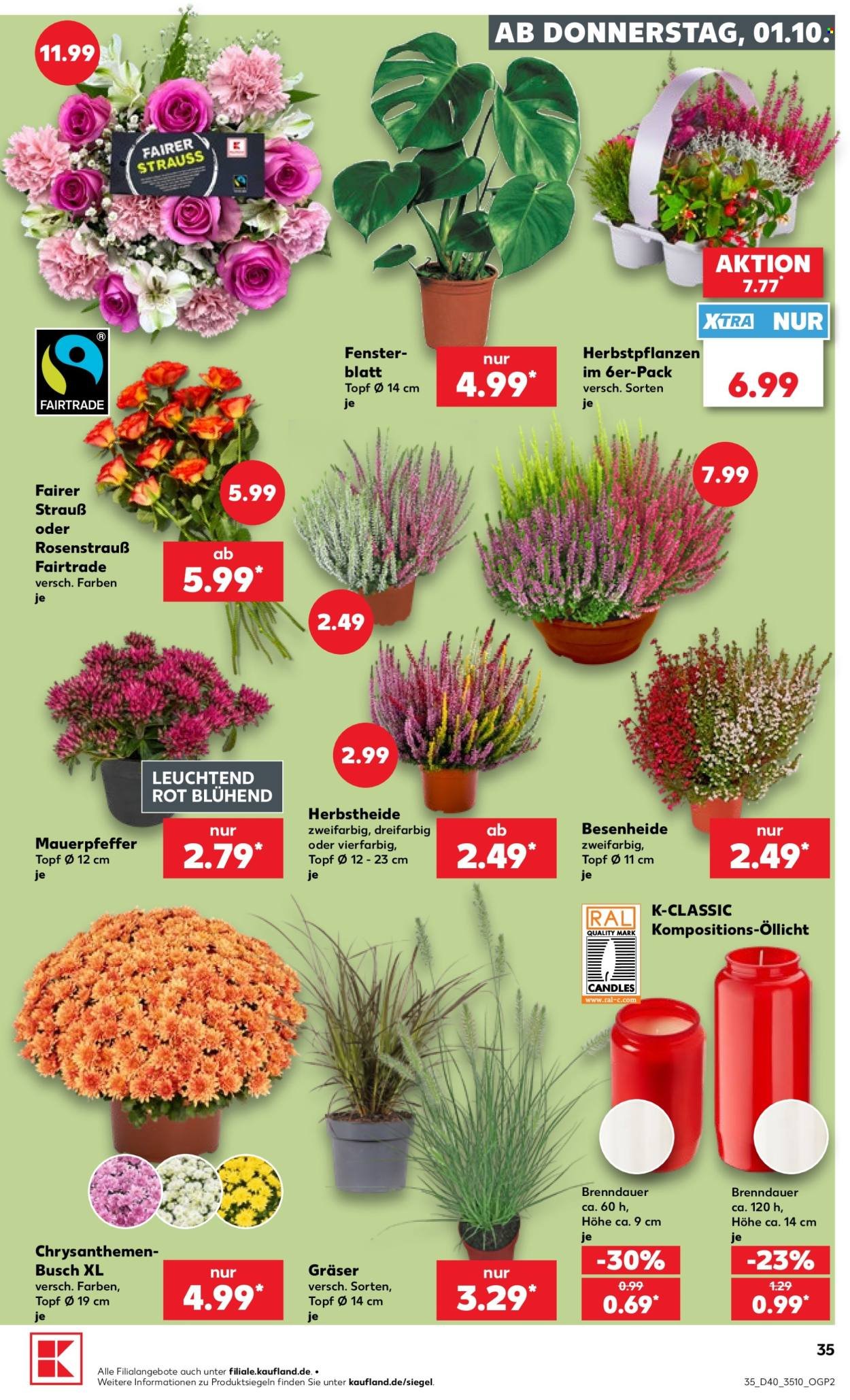 KAUFLAND Prospekt - Ab Donnerstag 1.10.2026