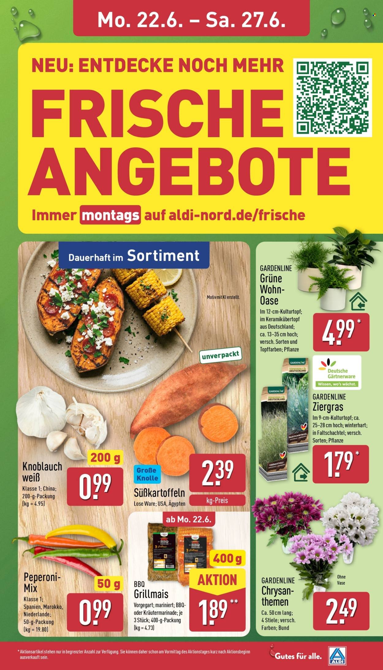 ALDI NORD Prospekt - Ab Montag 22.06.2026