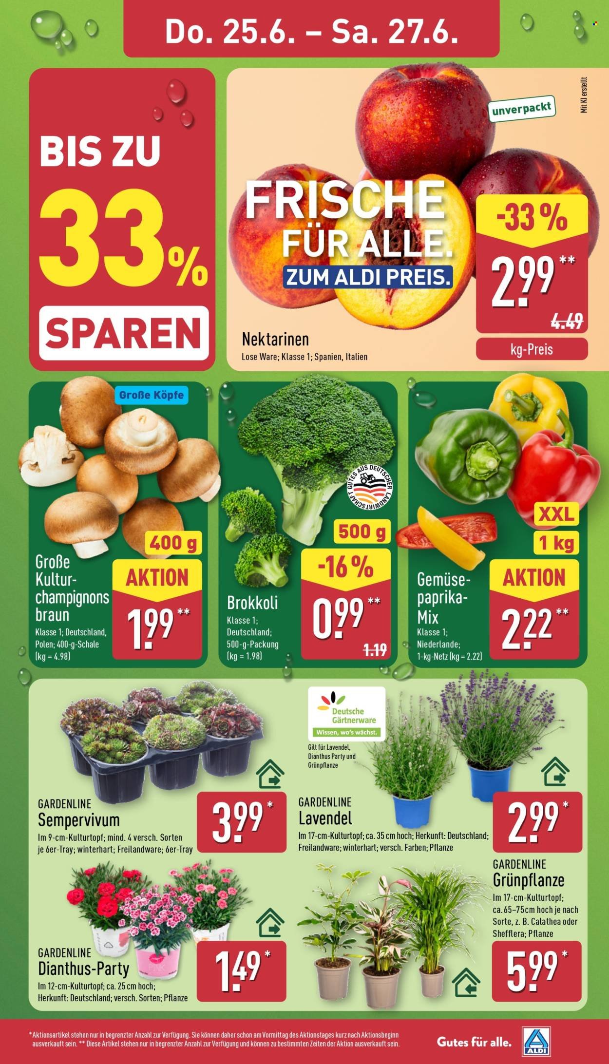 ALDI NORD Prospekt - Ab Montag 22.06.2026