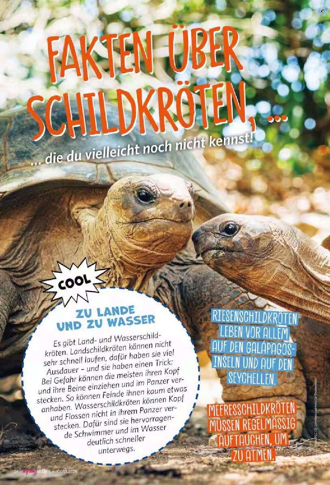 COMBI Prospekt - myTime Magazin