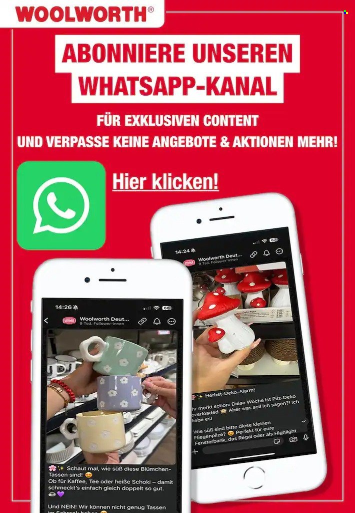 WOOLWORTH Prospekt - Ab Freitag 2.01.2026 (2026-01-02 - 2026-01-12)