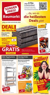 SONDERPREIS-BAUMARKT Prospekt - Ab Samstag 29.08.2026