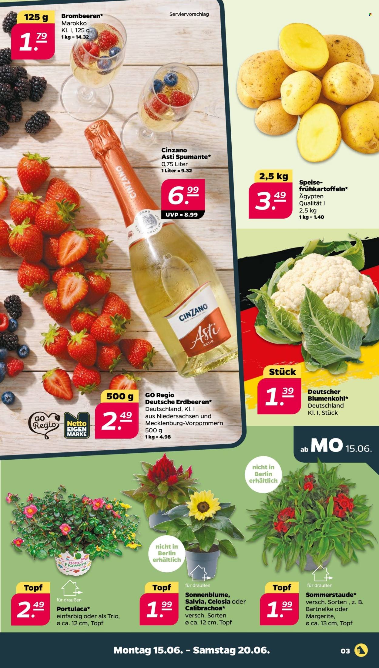 NETTO Prospekt - Woche 25