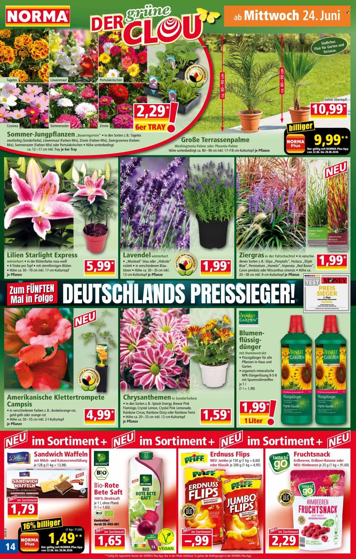 NORMA Prospekt - Ab Montag 22.06.2026