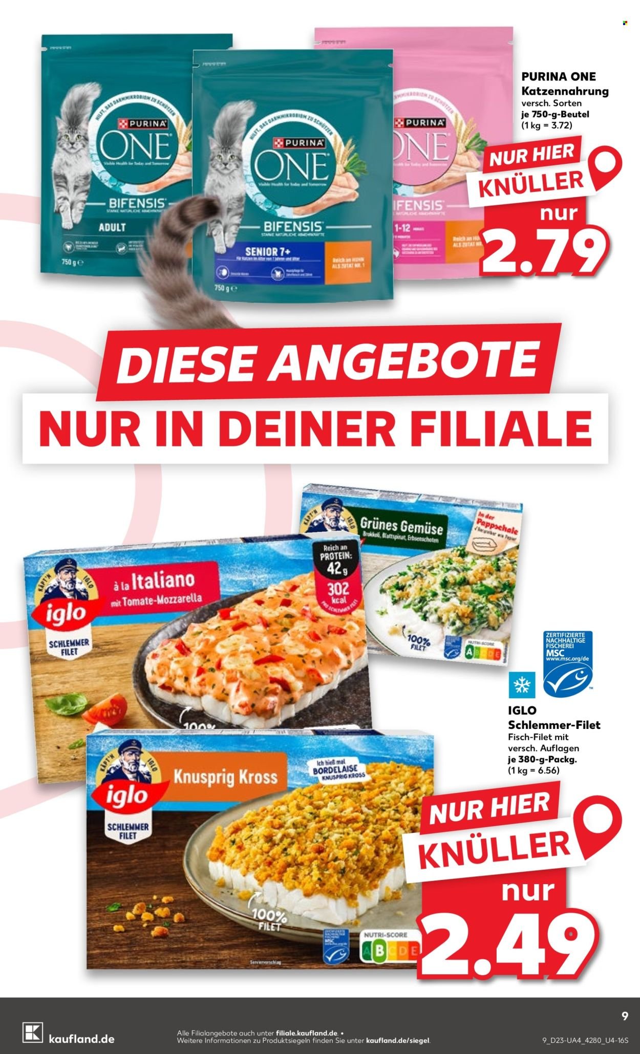 KAUFLAND Prospekt - Ab Donnerstag 4.06.2026