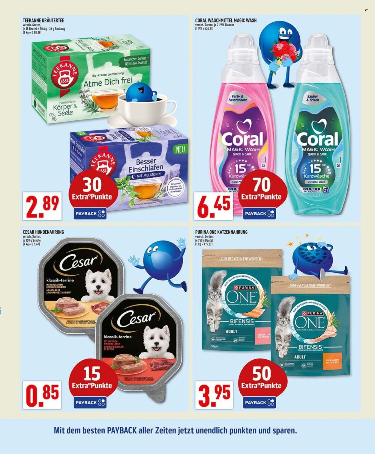 MARKTKAUF Prospekt - Ab Montag 26.01.2026