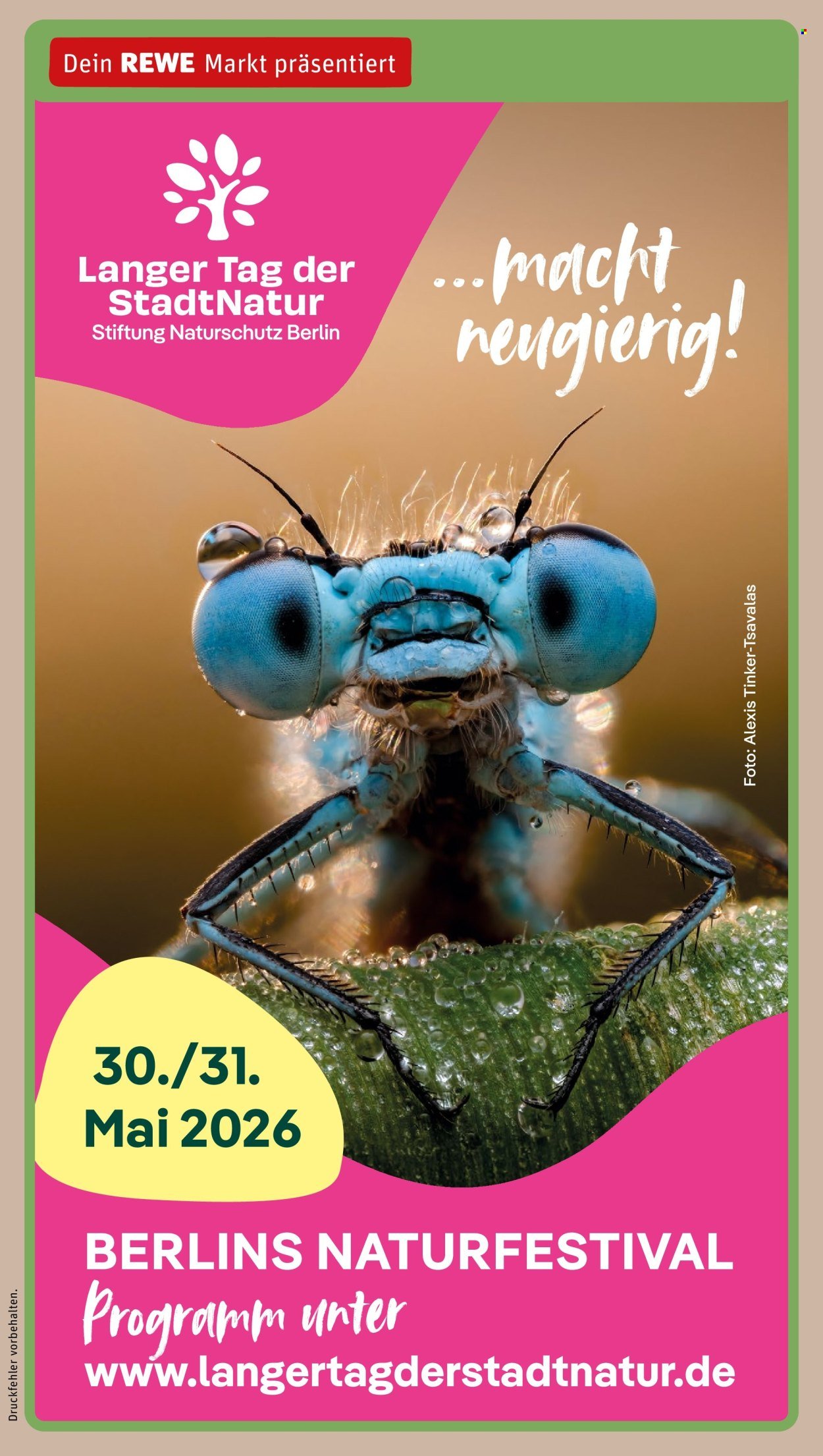 REWE Prospekt - Ab Dienstag 26.05.2026