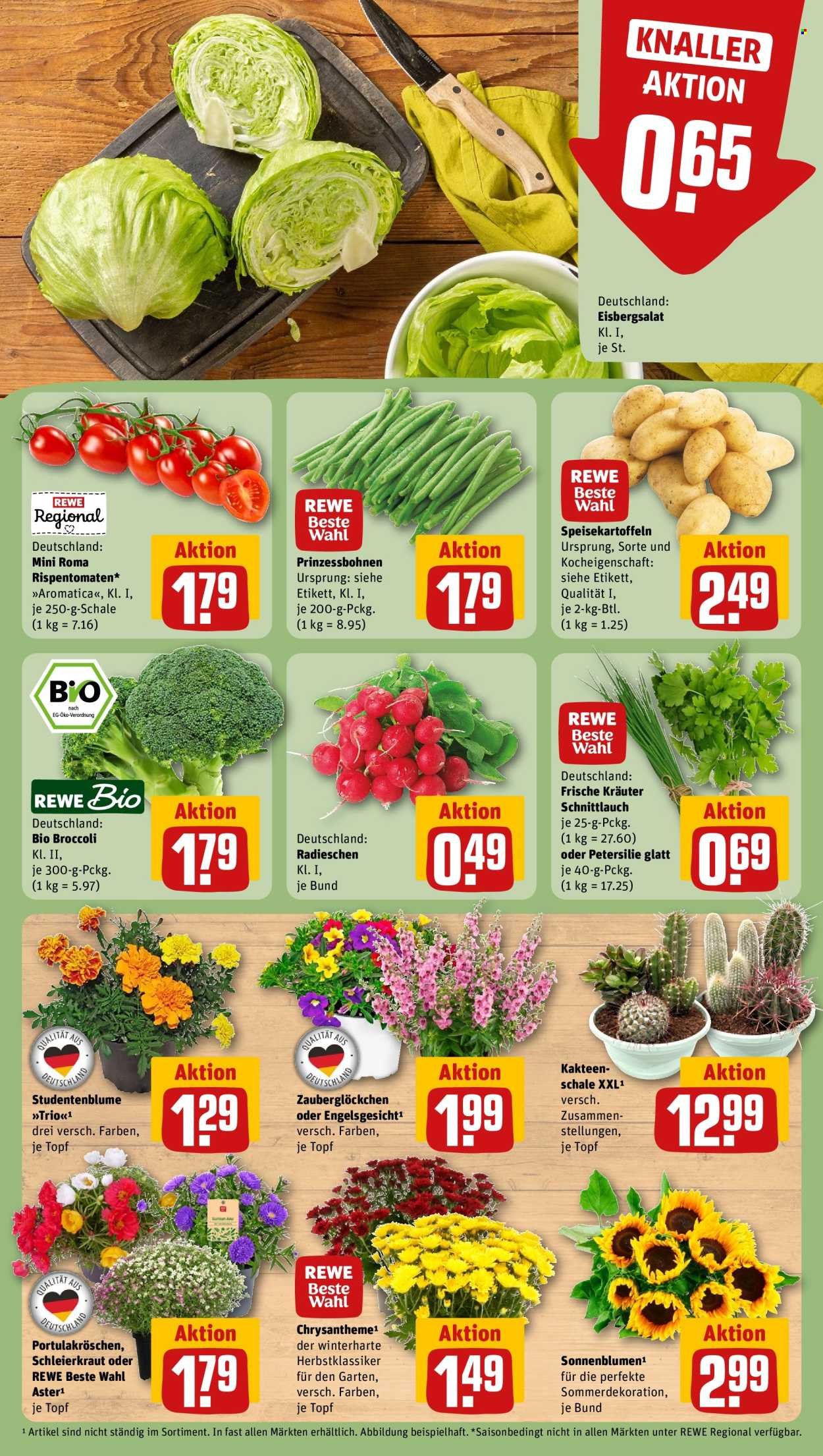REWE Prospekt - Ab Montag 6.07.2026