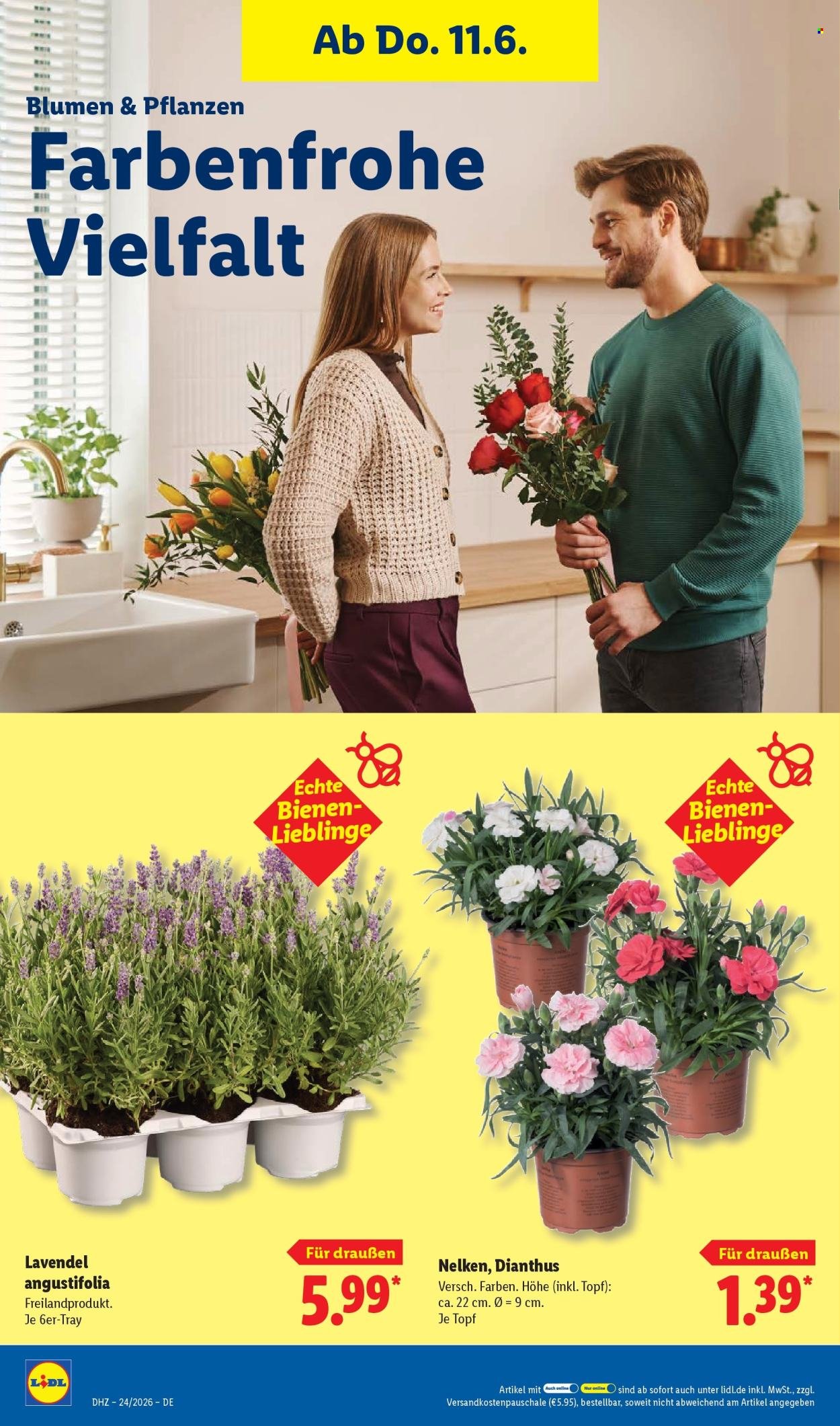 LIDL Prospekt - Ab Montag 8.06.2026