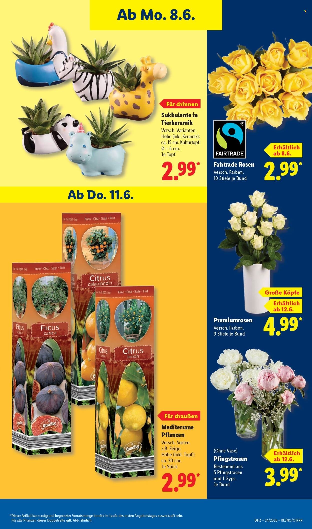 LIDL Prospekt - Ab Montag 8.06.2026