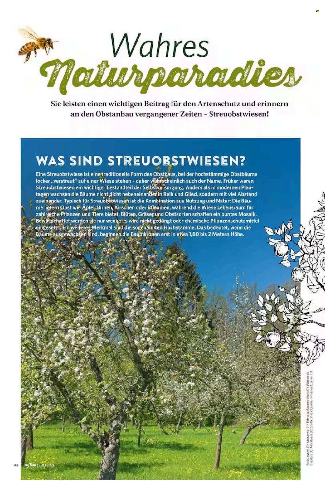 COMBI Prospekt - myTime Magazin