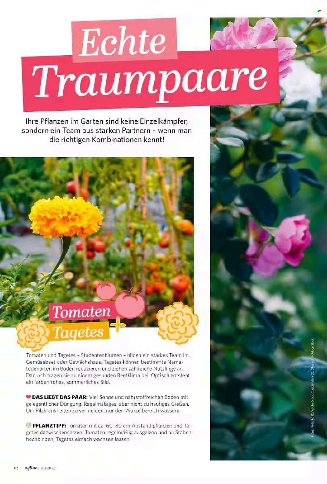 COMBI Prospekt - myTime Magazin