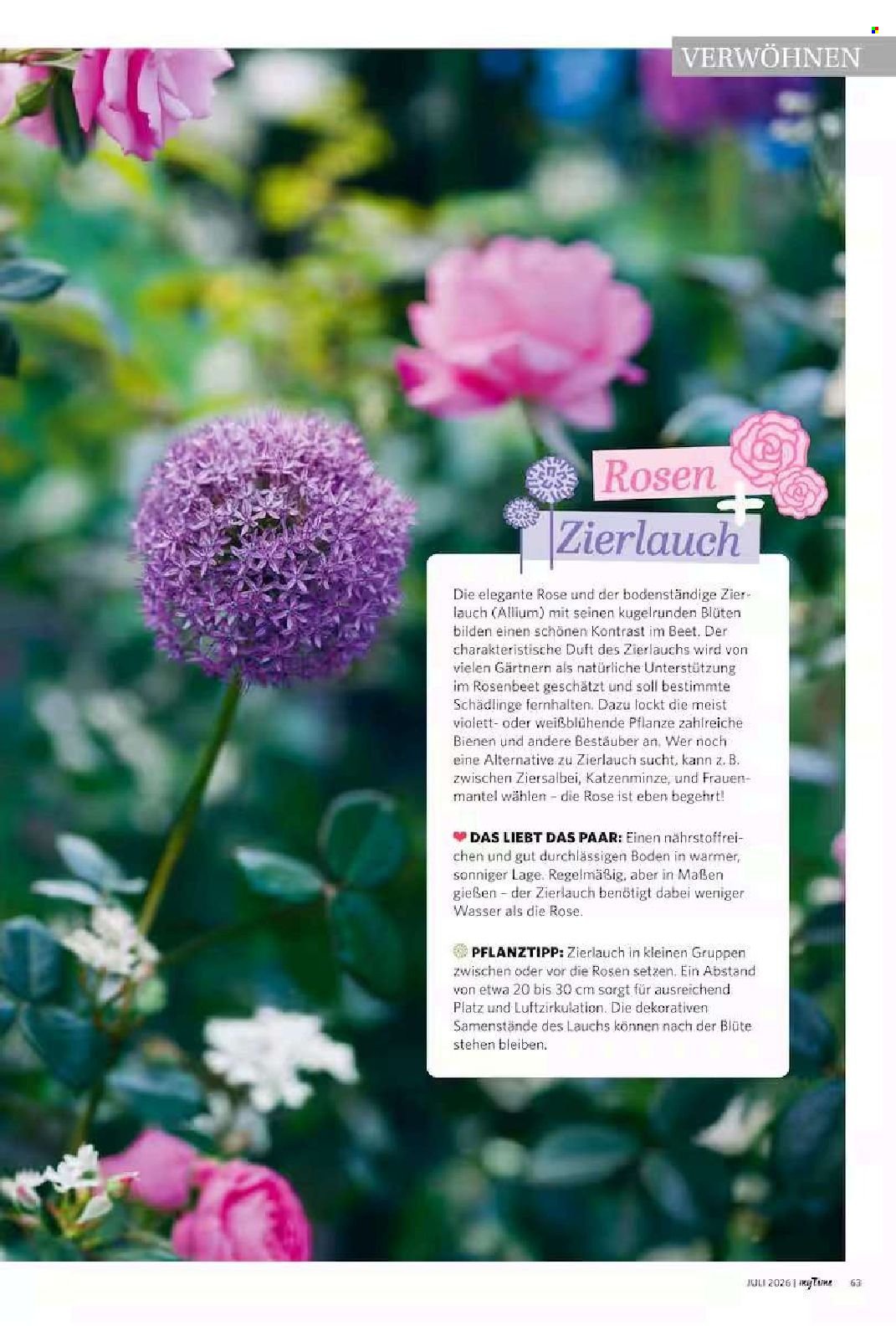 COMBI Prospekt - myTime Magazin