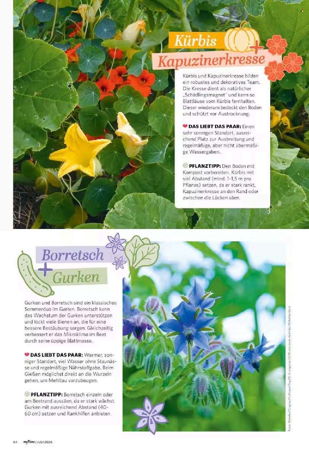 COMBI Prospekt - myTime Magazin