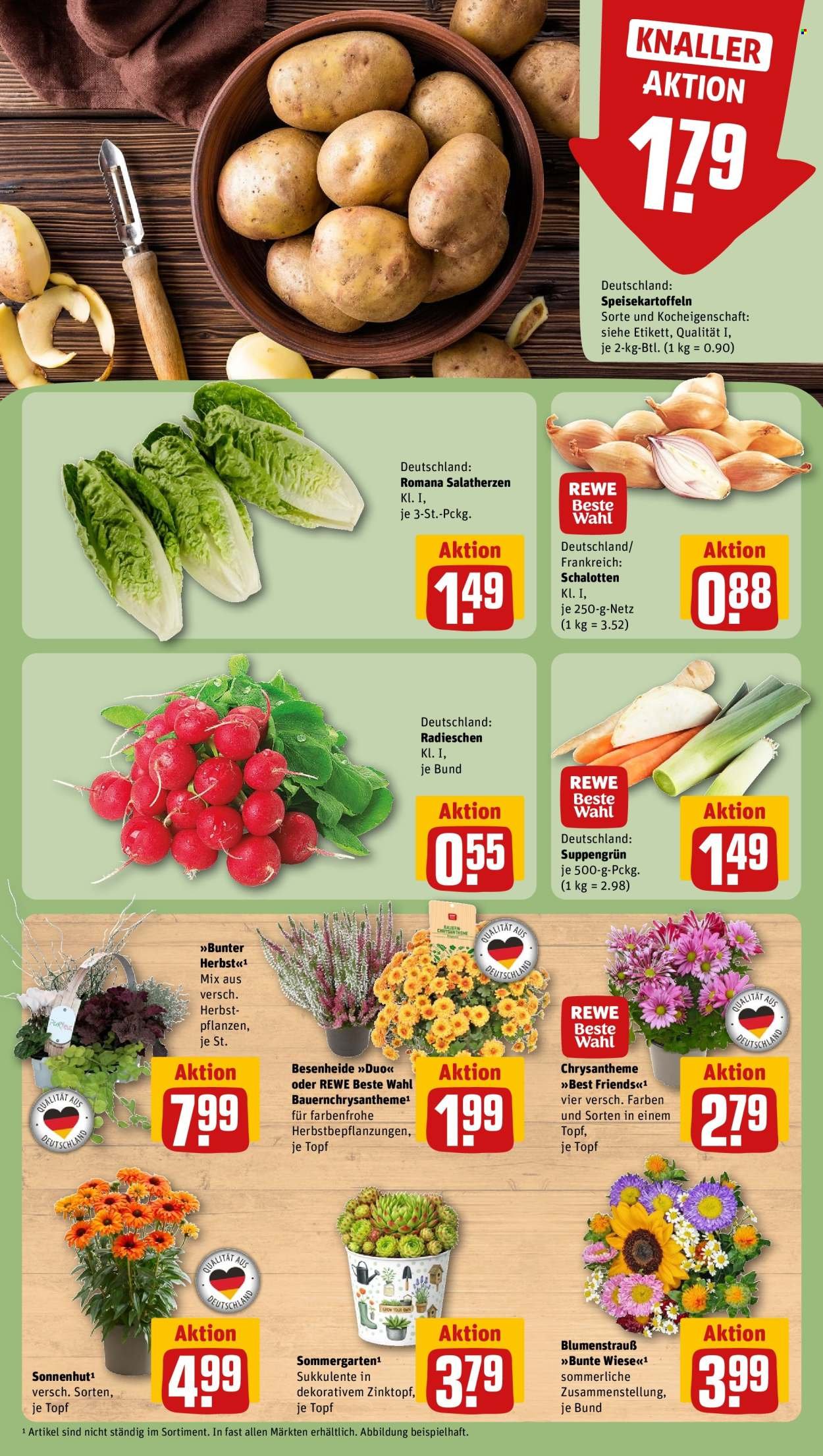 REWE Prospekt - Ab Montag 7.09.2026